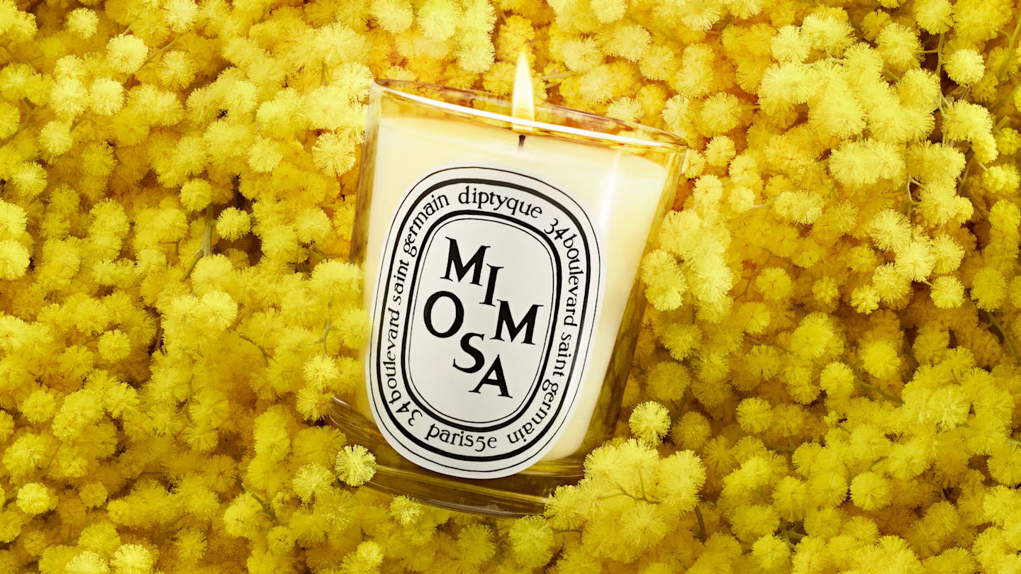 Mimosa（ミモザ） – Diptyque Paris