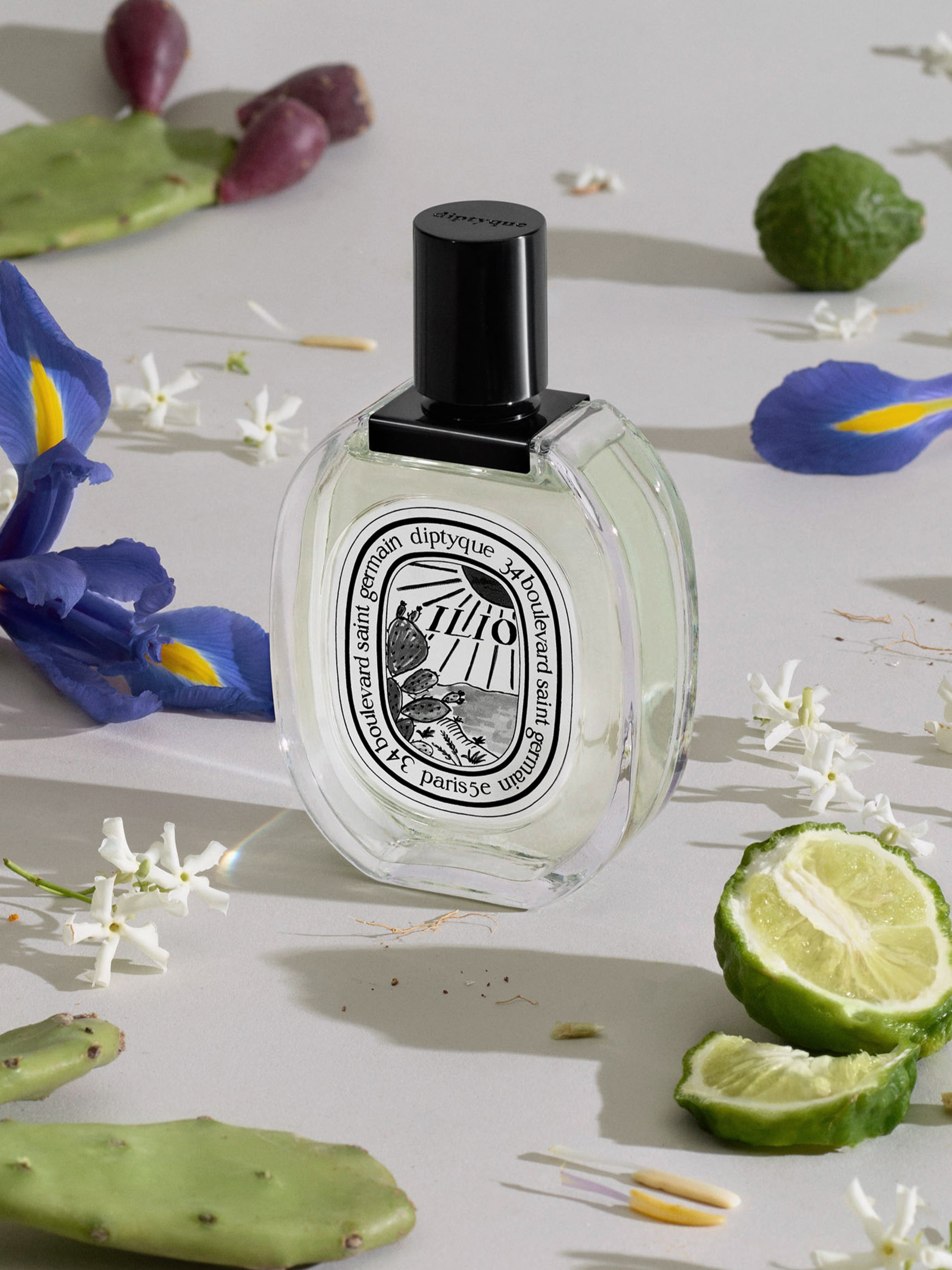 Ilio (イリオ) - オードトワレ – Diptyque Paris