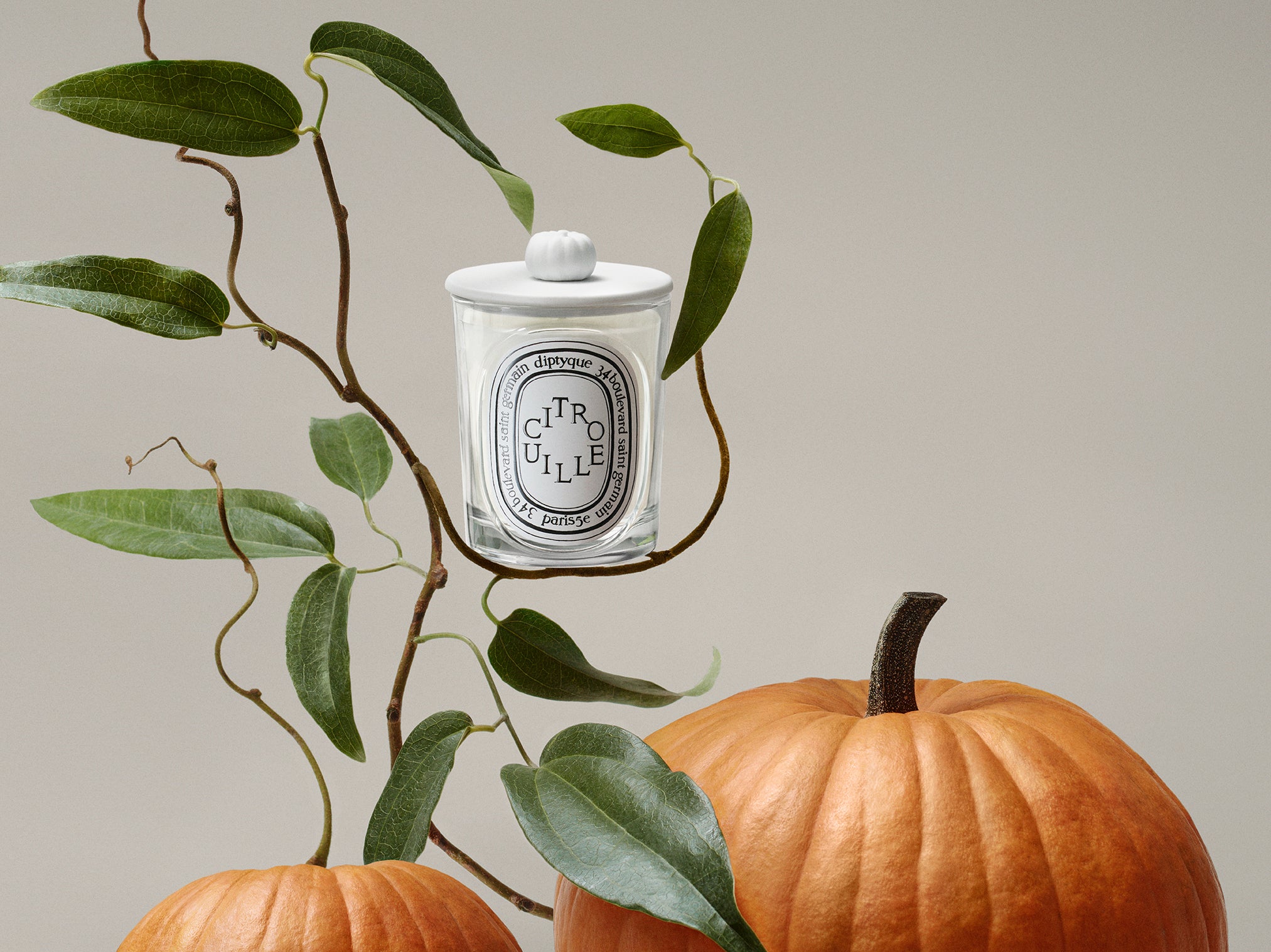 Muguet (ミュゲ) - クラシック キャンドル – Diptyque Paris