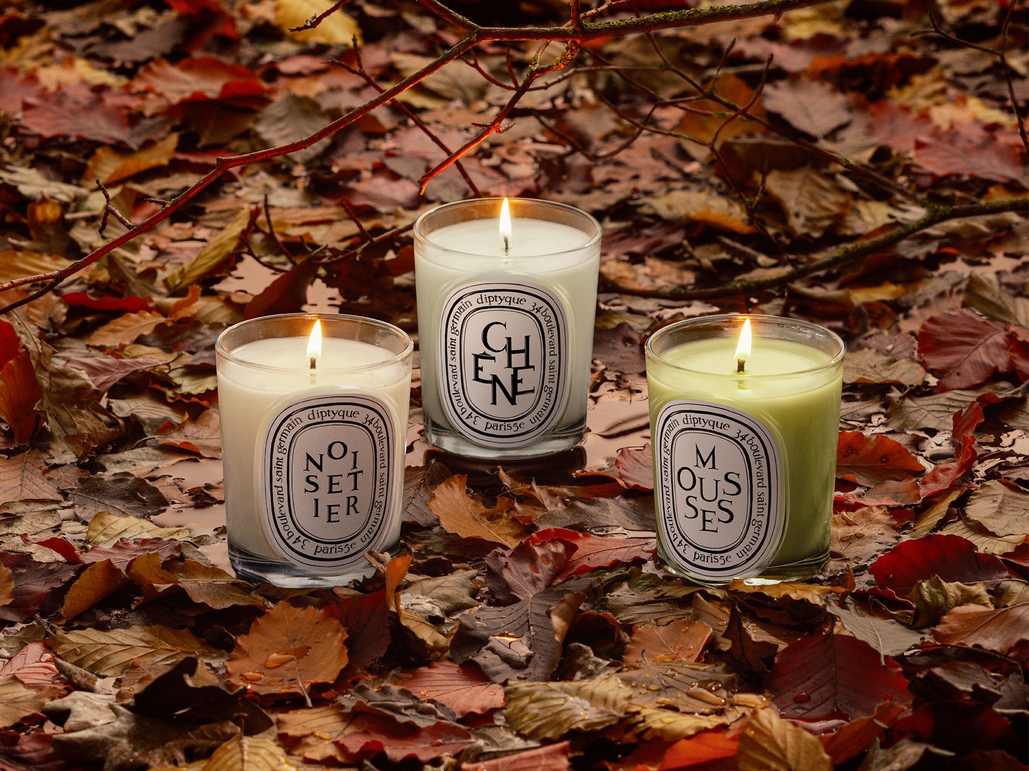 Volutes（ヴォリュート） - オードパルファン – Diptyque Paris