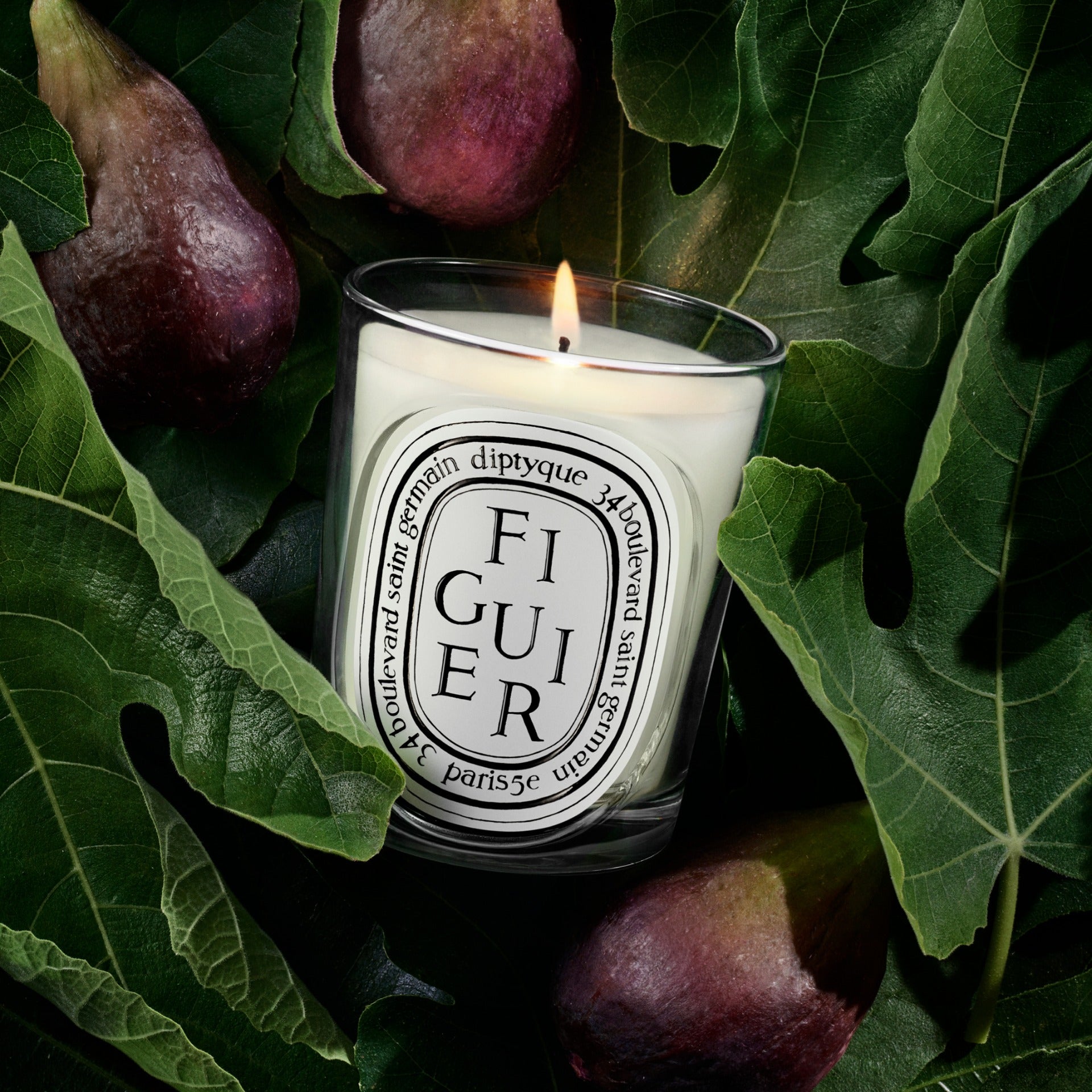 Candle & Home All – Diptyque Paris