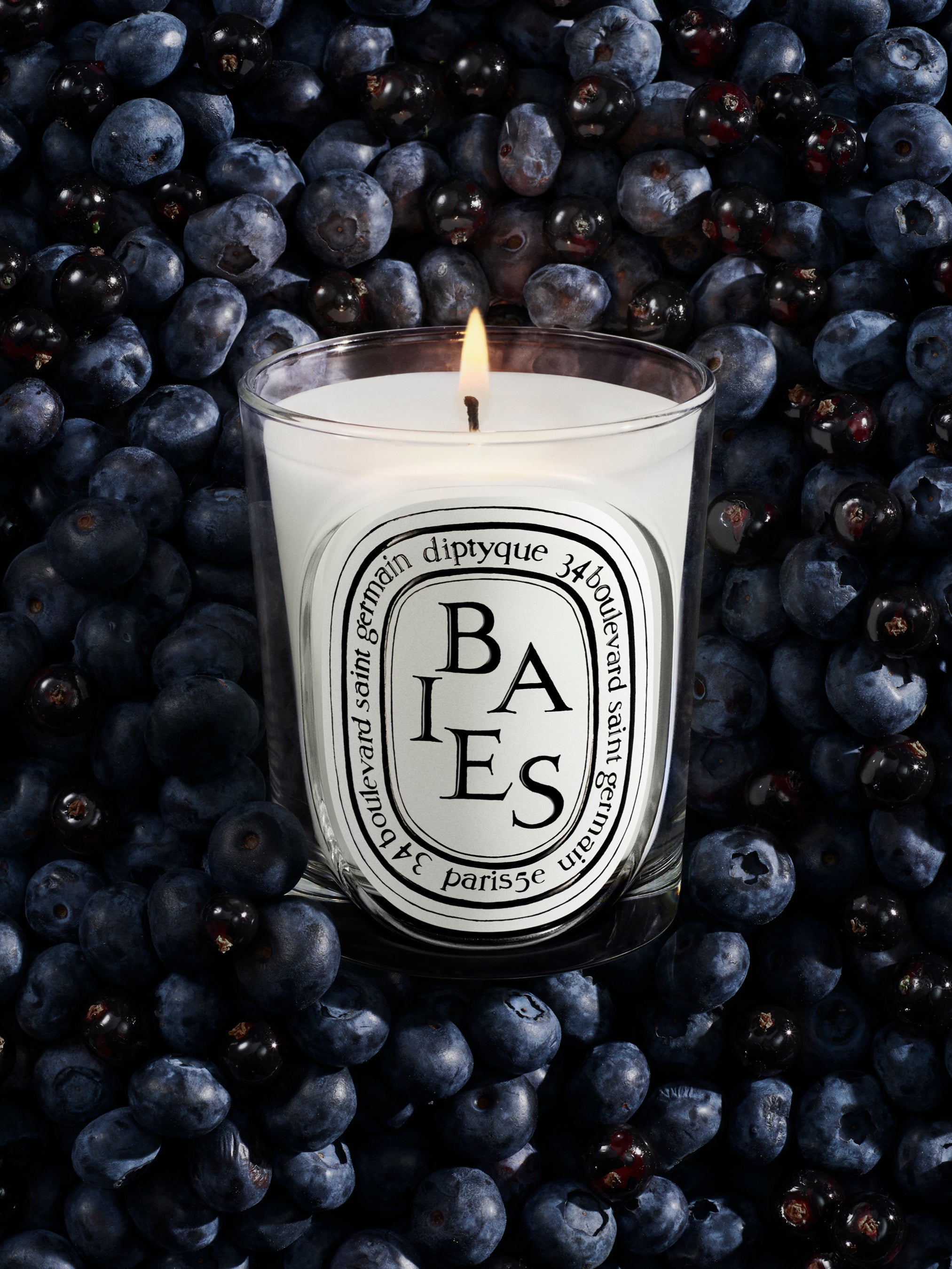 クラシックキャンドル190g 【BAIES（べ）】 Baies (ベ) - クラシック キャンドル – Diptyque Paris