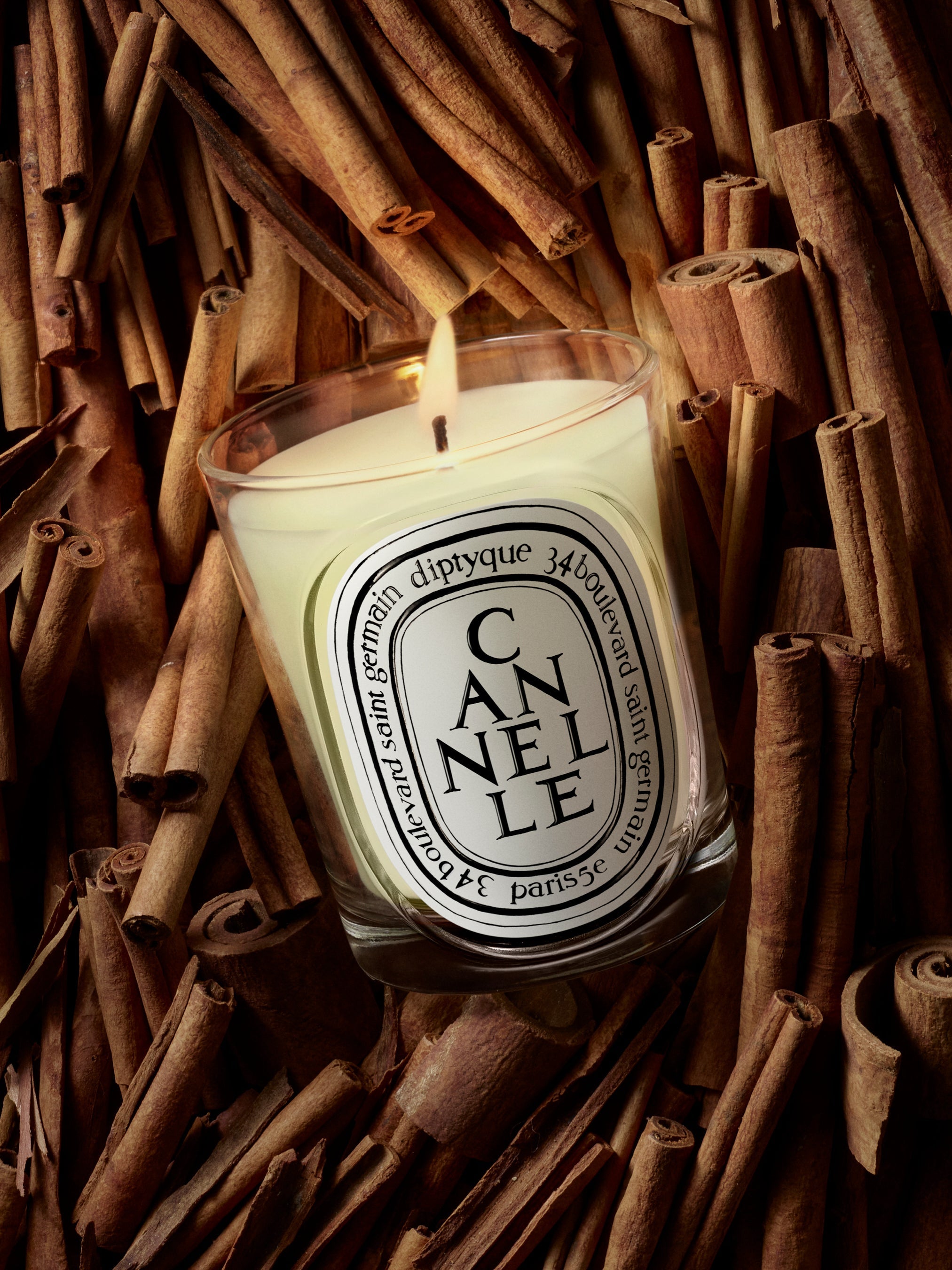 HERBIER_CTM_VISUEL_CANNELLE-