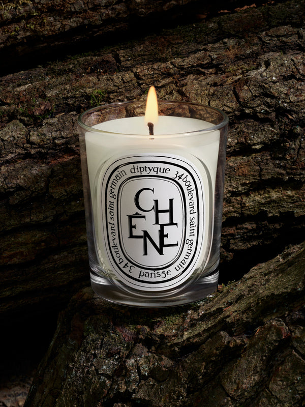Chêne (Oak Tree) - Classic Candle