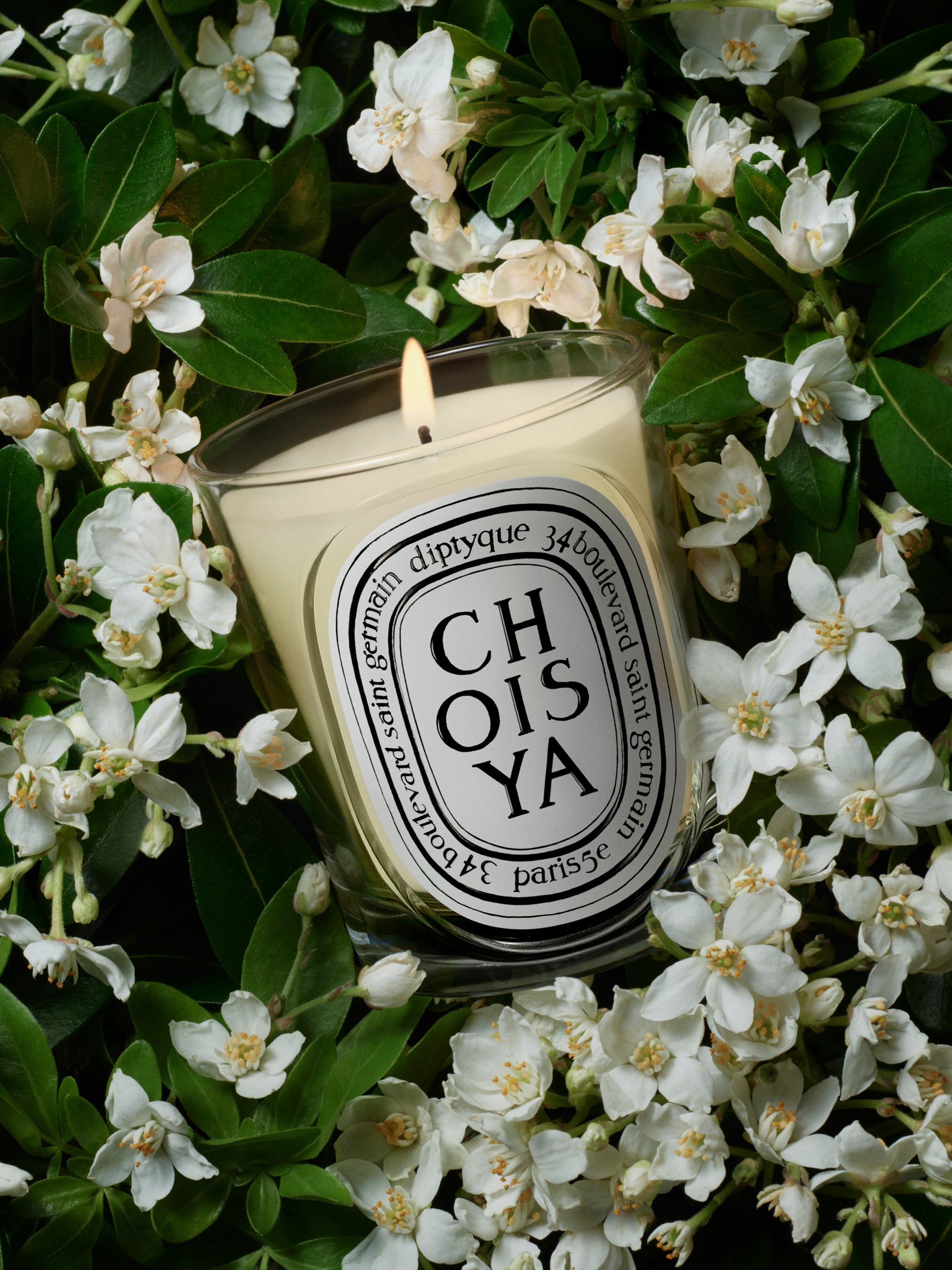 Choisya (ショワジャ) - クラシック キャンドル – Diptyque Paris