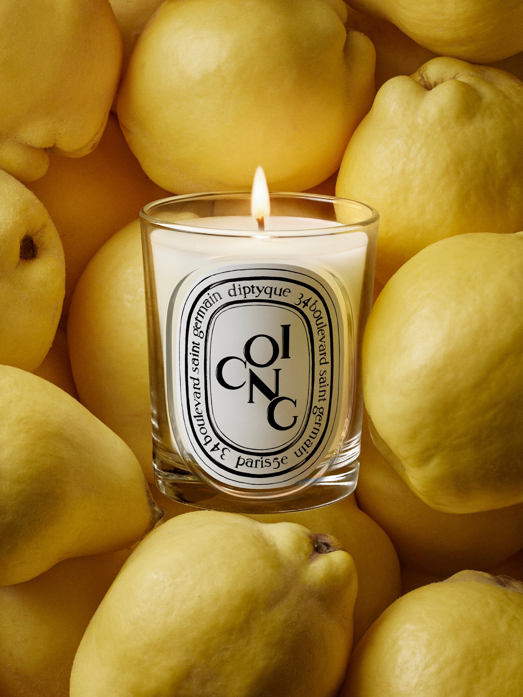 Coing (クアン) - クラシック キャンドル – Diptyque Paris