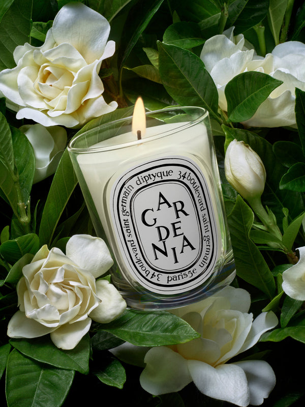 Gardenia - Classic Candle
