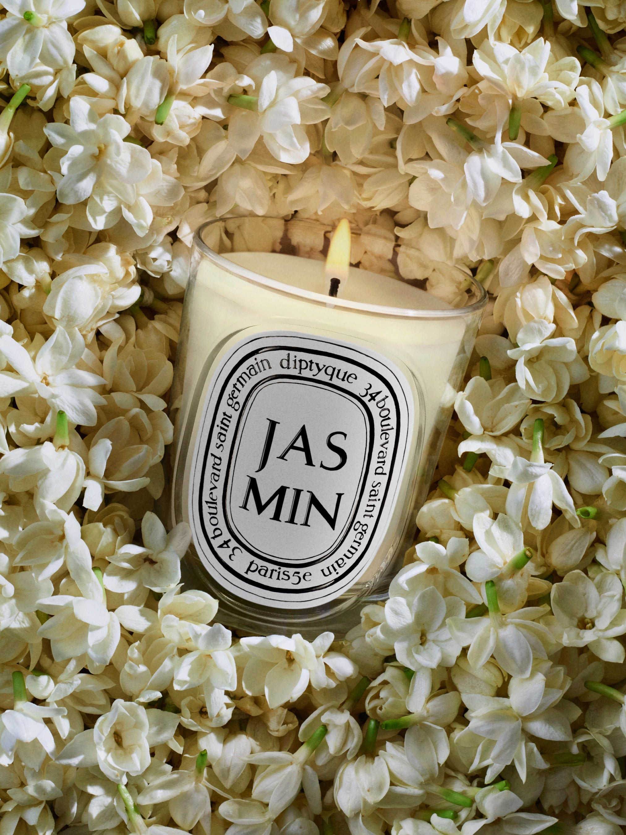 Jasmin (ジャスミン) - クラシック キャンドル – Diptyque Paris