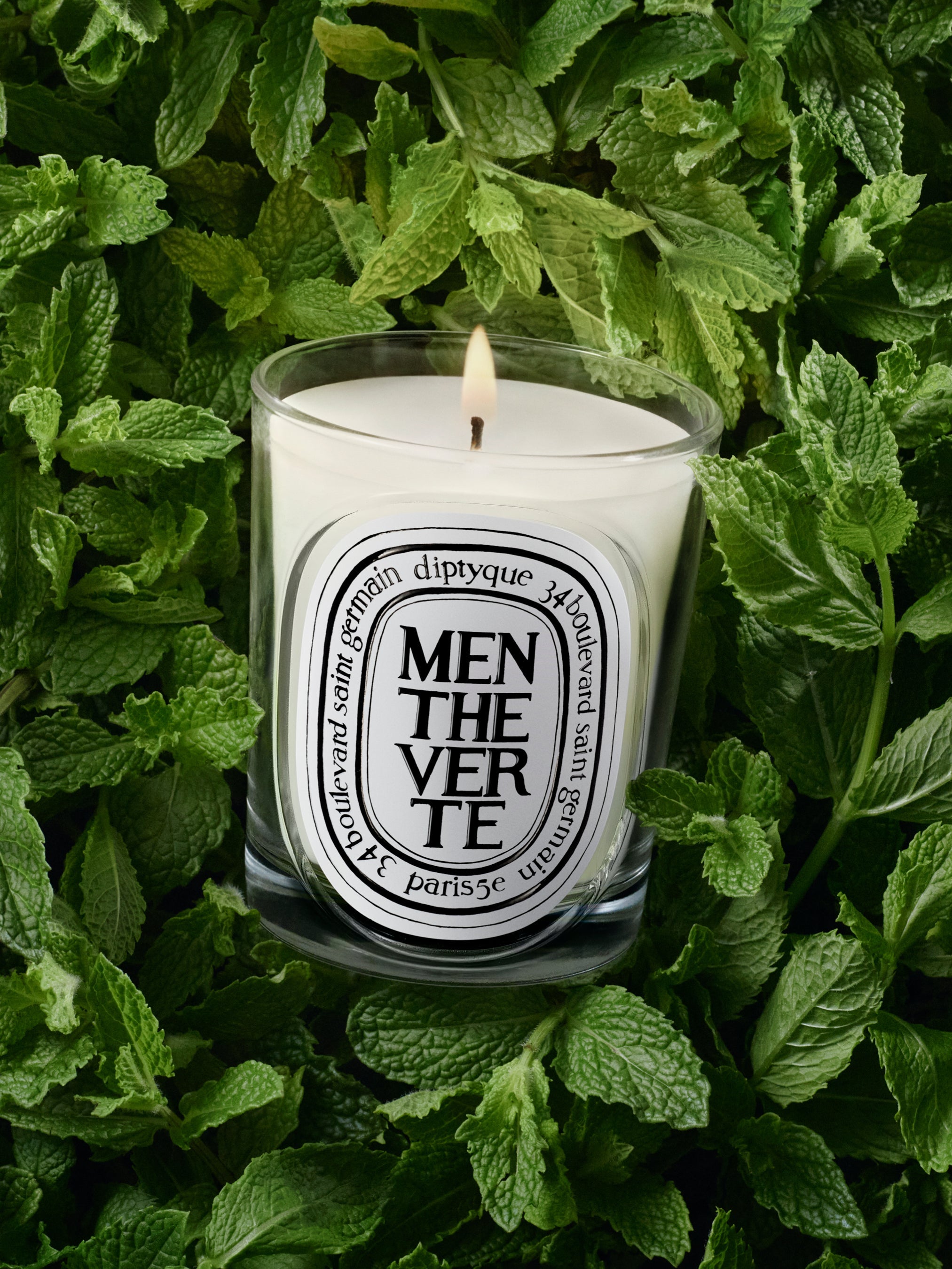 Menthe Verte (マント ヴェルト) - クラシック キャンドル – Diptyque