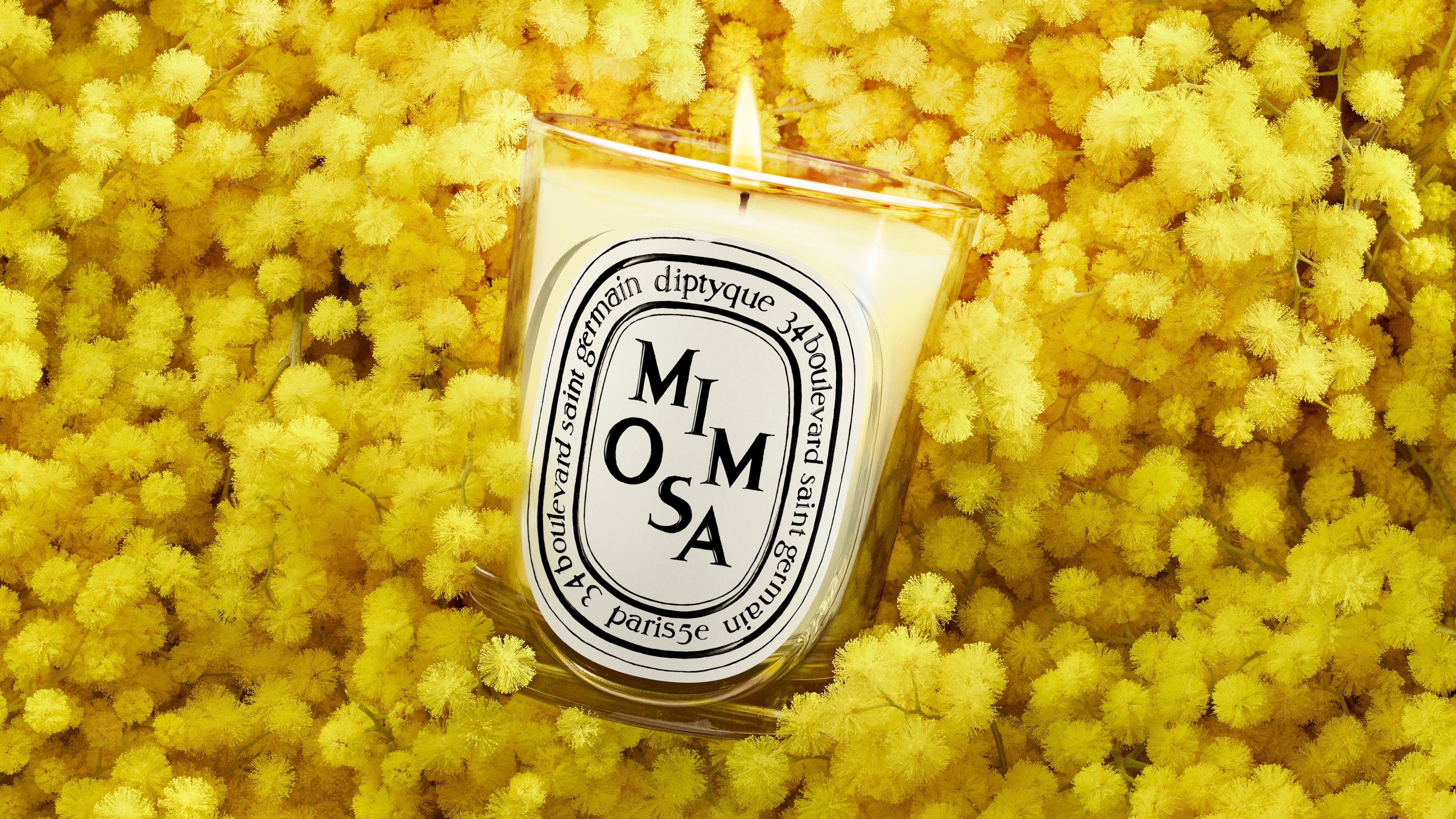 Mimosa（ミモザ） – Diptyque Paris