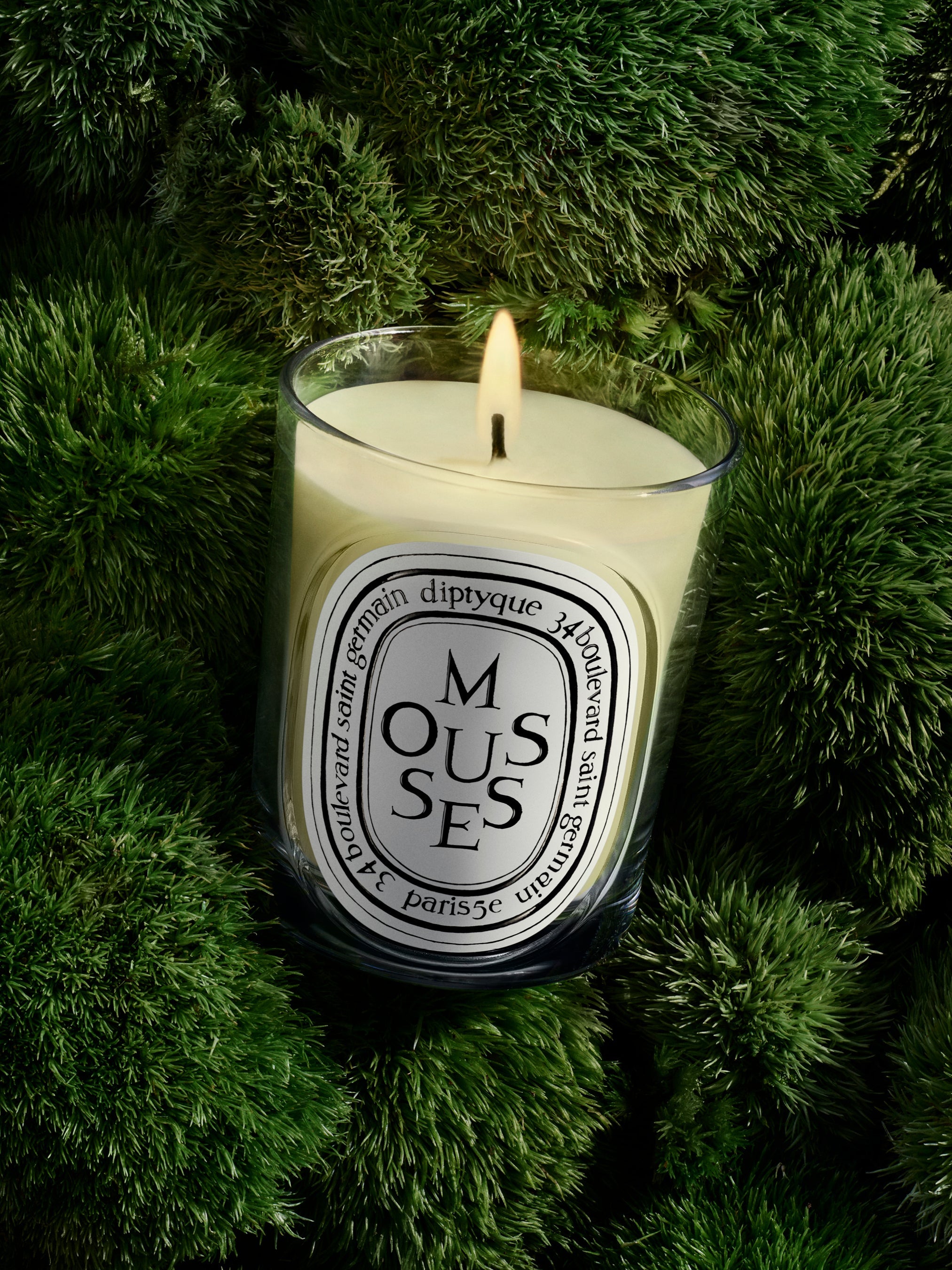 【新品未開封】diptyque MUSC ムスク クラシックキャンドル 190g Mousses (ムース) - クラシック キャンドル – Diptyque Paris