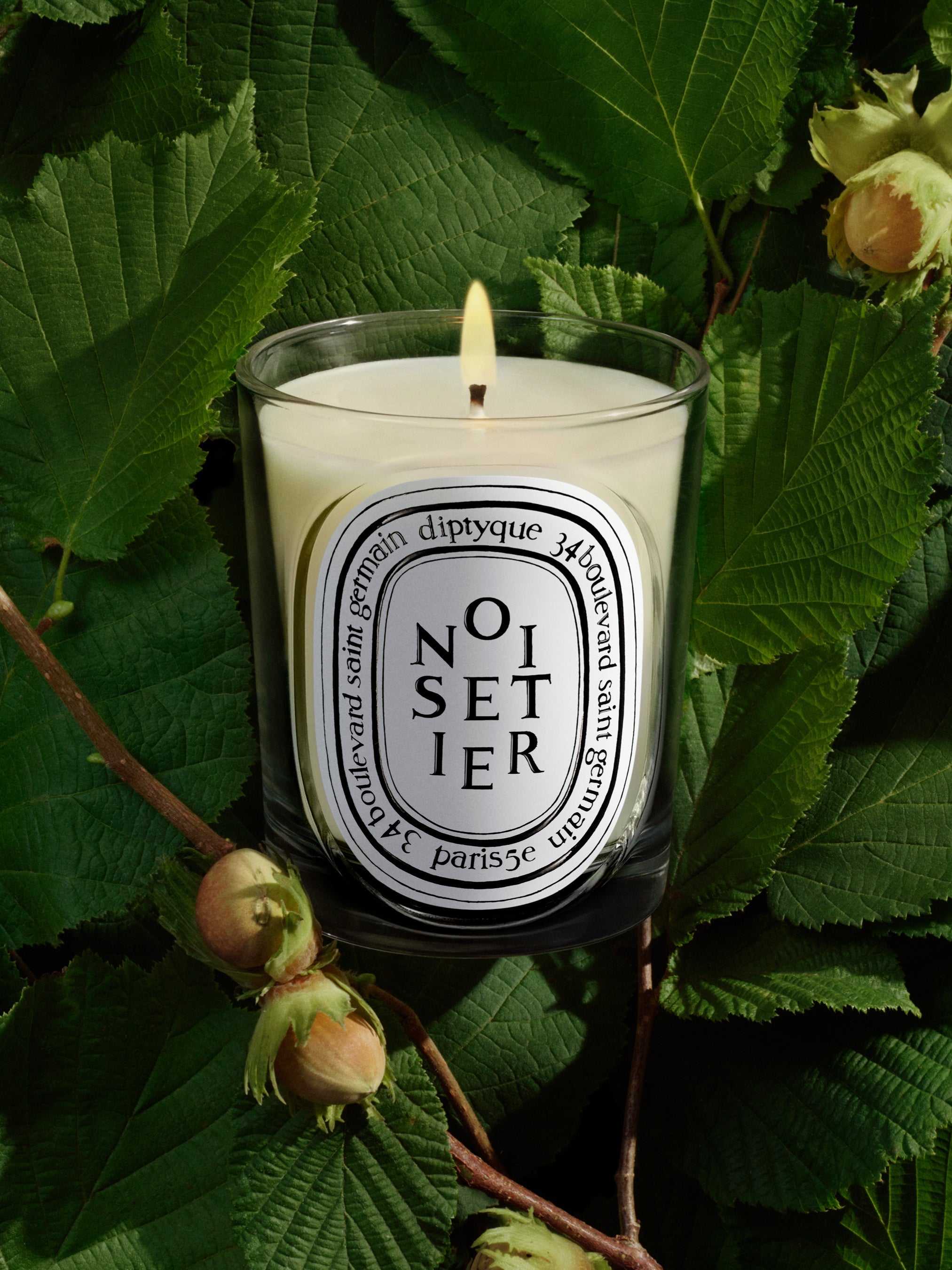 Noisetier (ノワスティエ) - クラシック キャンドル – Diptyque Paris