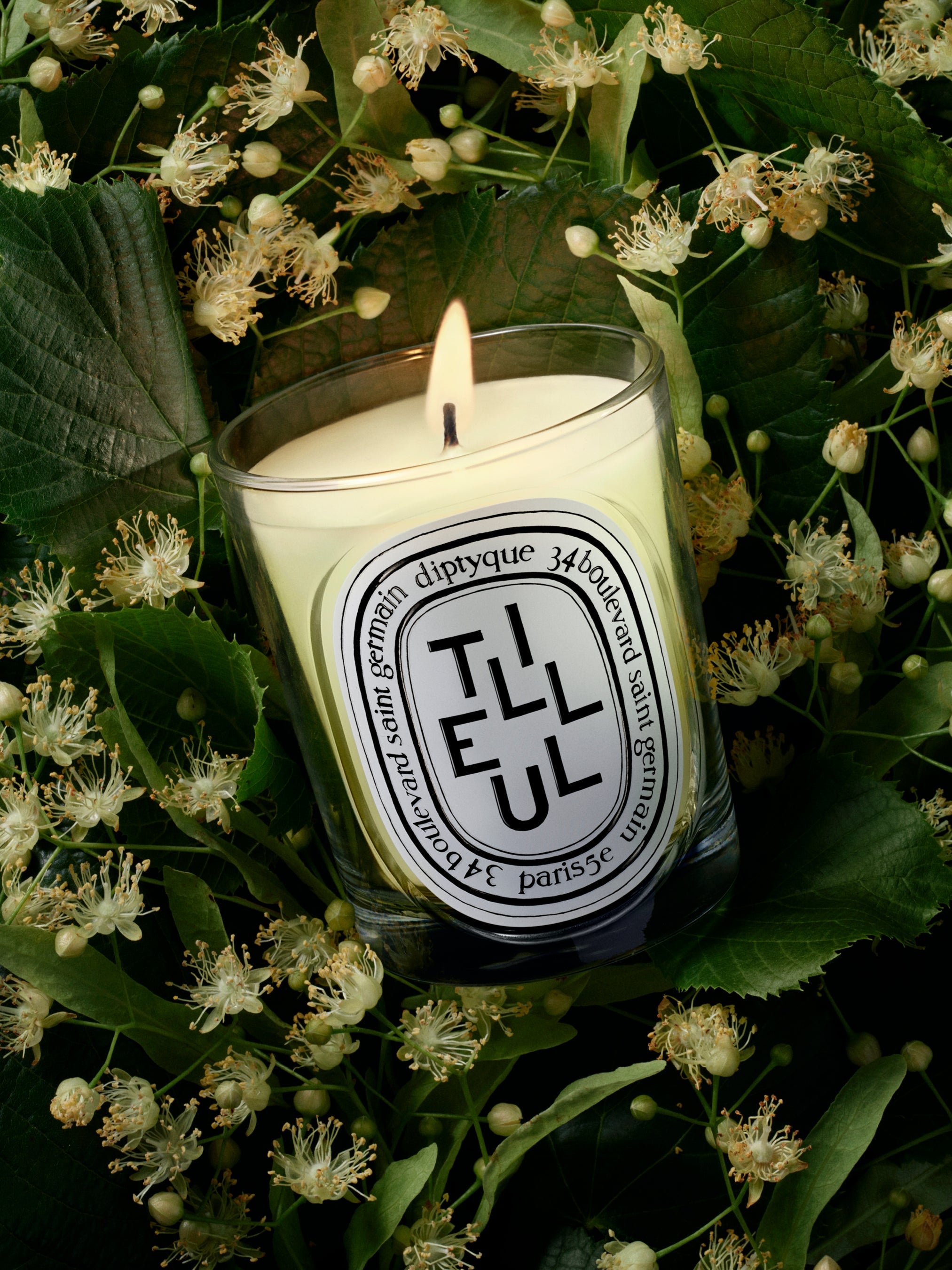 Tilleul (ティユル) - クラシック キャンドル – Diptyque Paris