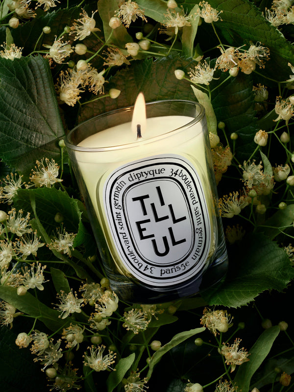 Tilleul (Linden Tree) - Classic Candle