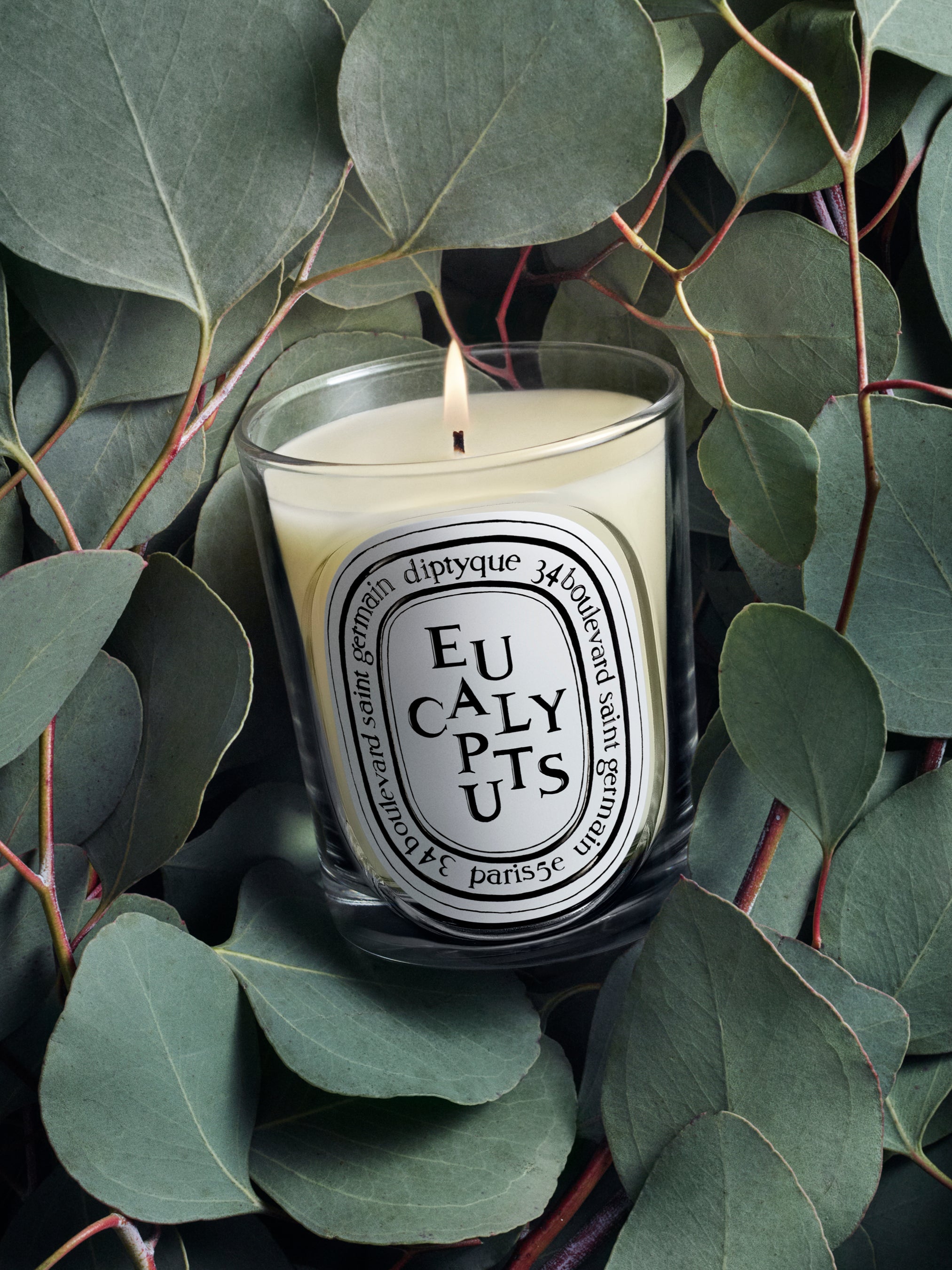 新品未開封　diptyque ディプティック　キャンドル　ユーカリ　190g Eucalyptus (ユーカリ) - クラシック キャンドル – Diptyque Paris
