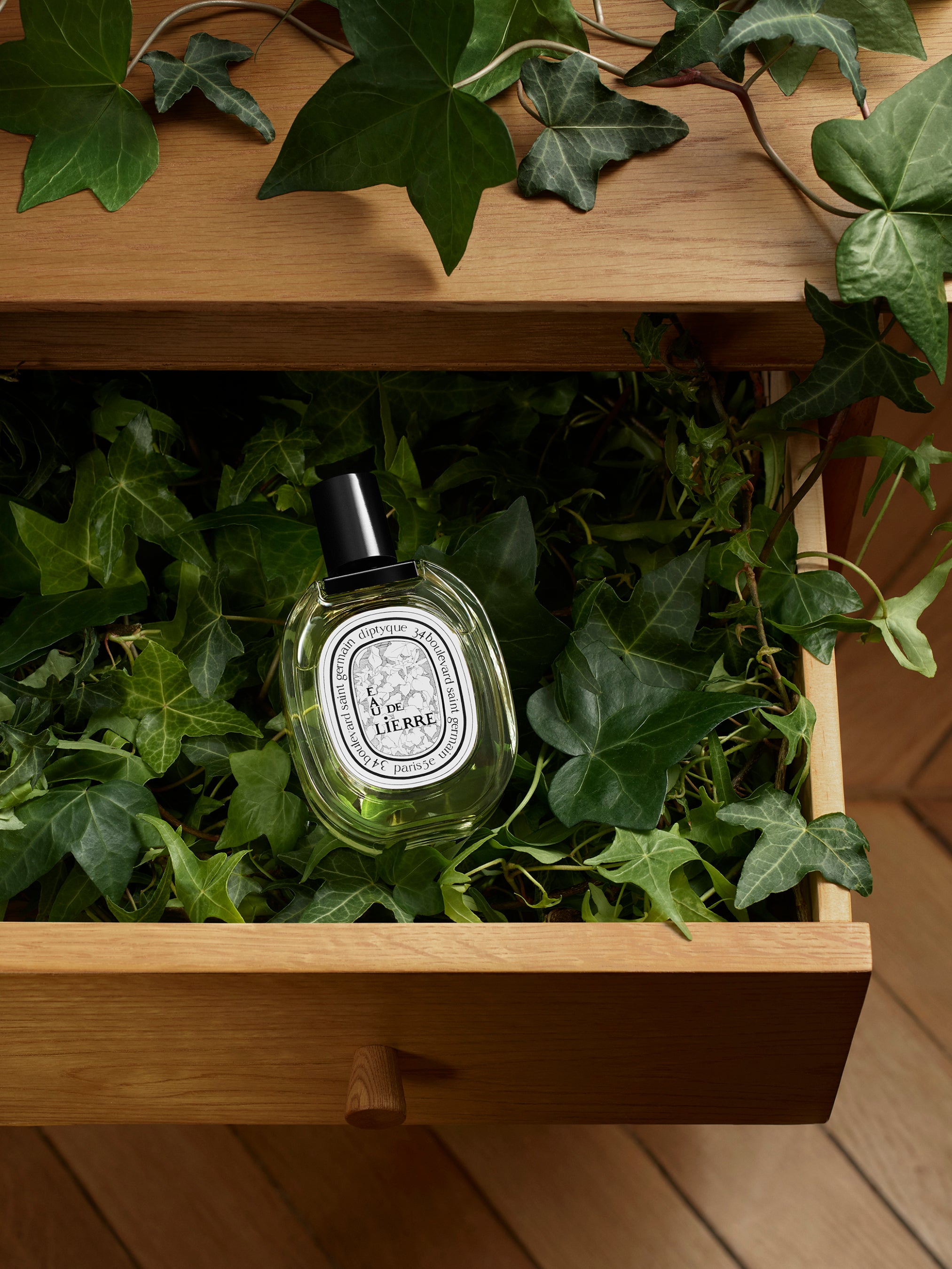 Eau de Lierre（オー ド リエル） - オードトワレ – Diptyque Paris