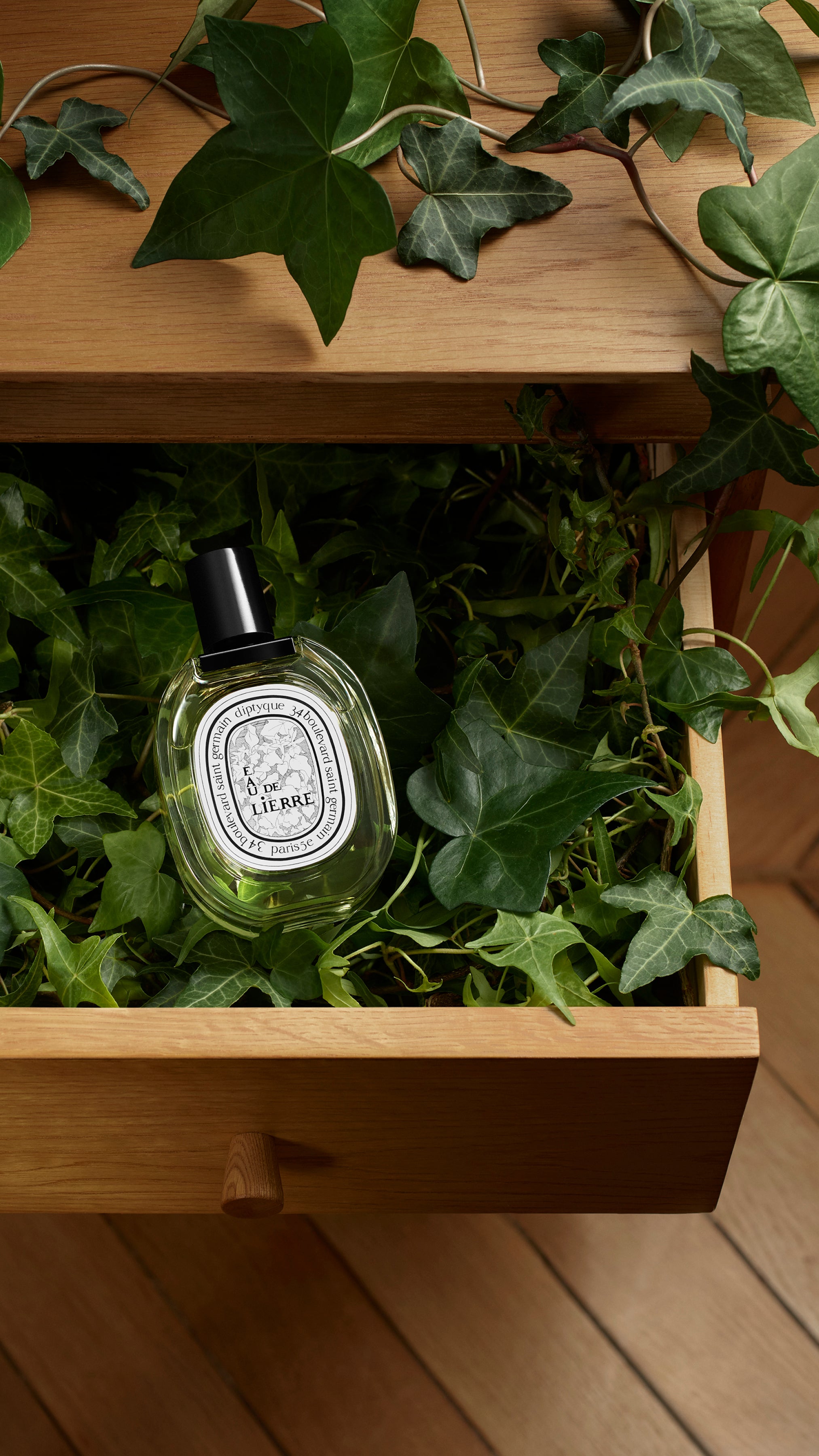 Eau de Lierre（オー ド リエル） - オードトワレ – Diptyque Paris