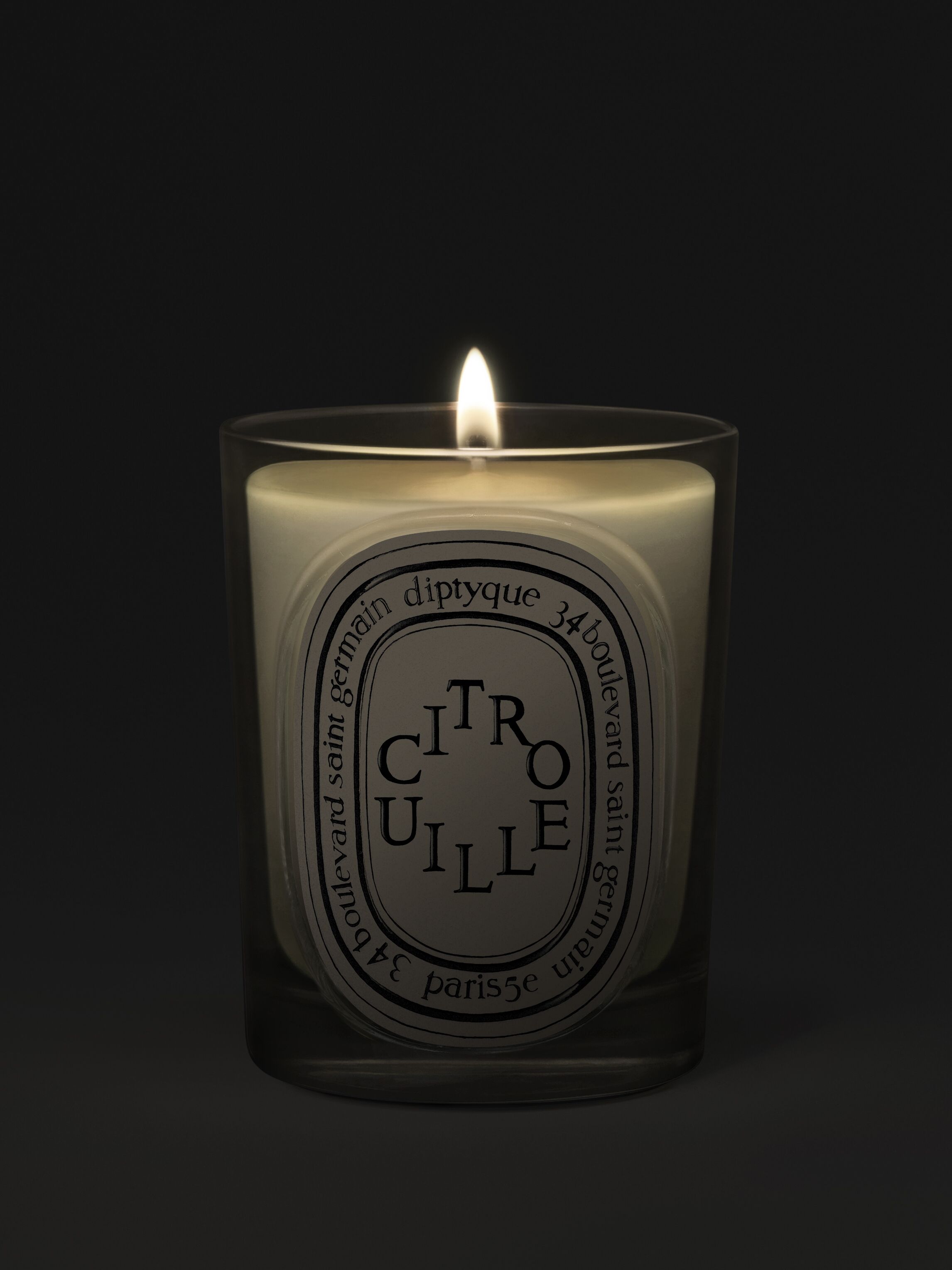 送料込み DIPTYQUE フレグランスキャンドル シトルイユ 190g 限定品 10月1日新登場 限定版 Citrouille (シトルイユ) - クラシック