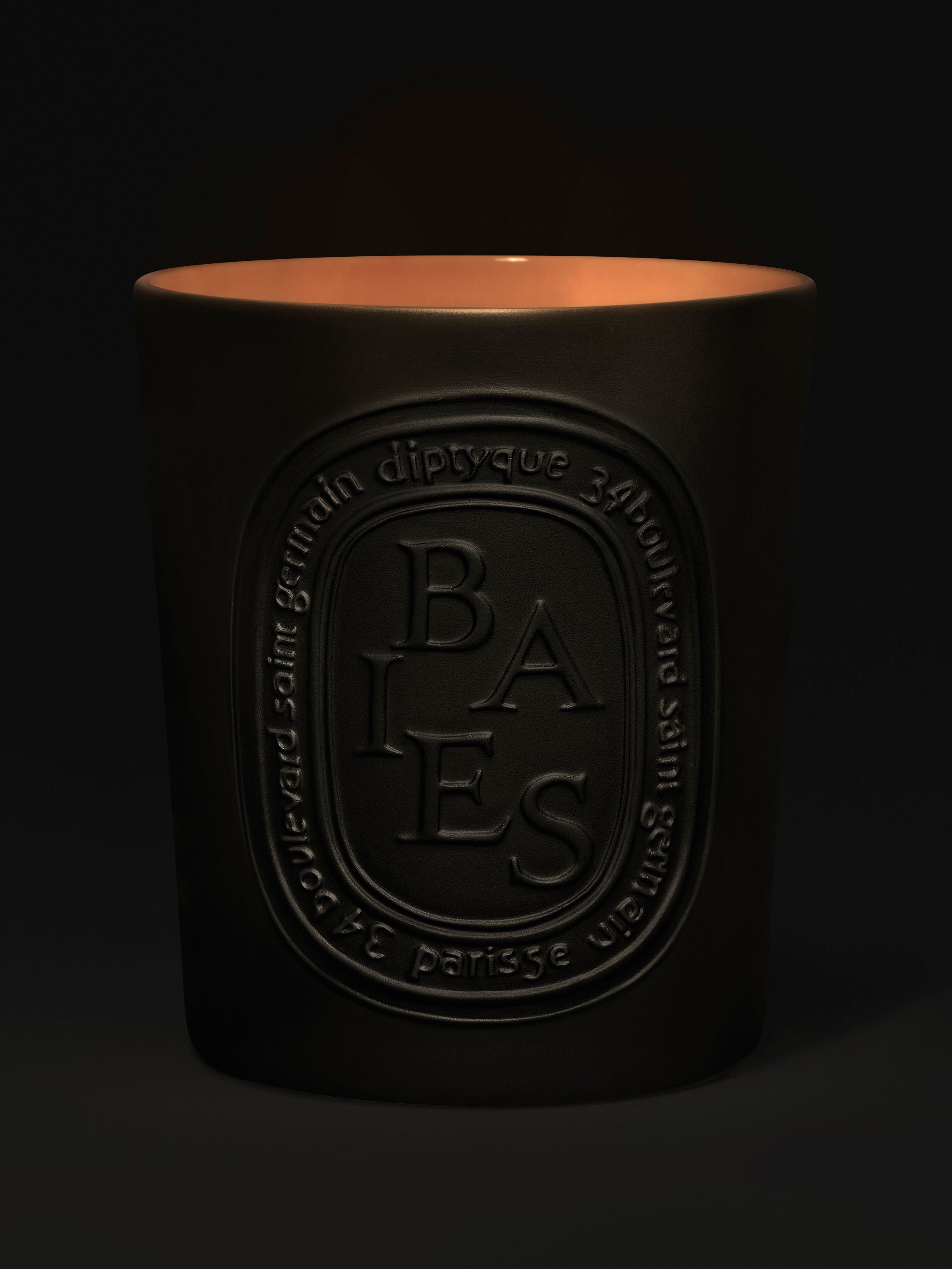 Baies (べ) - ラージ キャンドル – Diptyque Paris