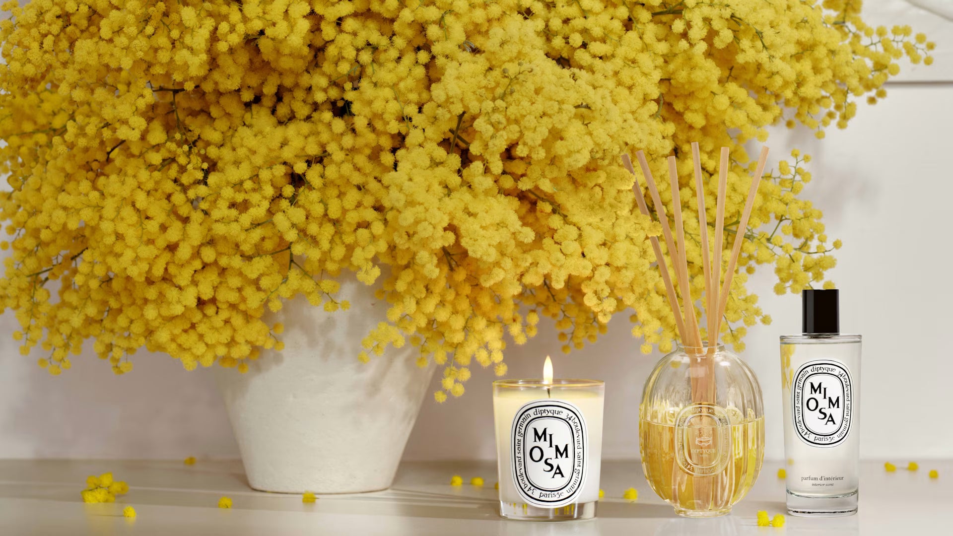 Mimosa (ミモザ) - クラシック キャンドル – Diptyque Paris