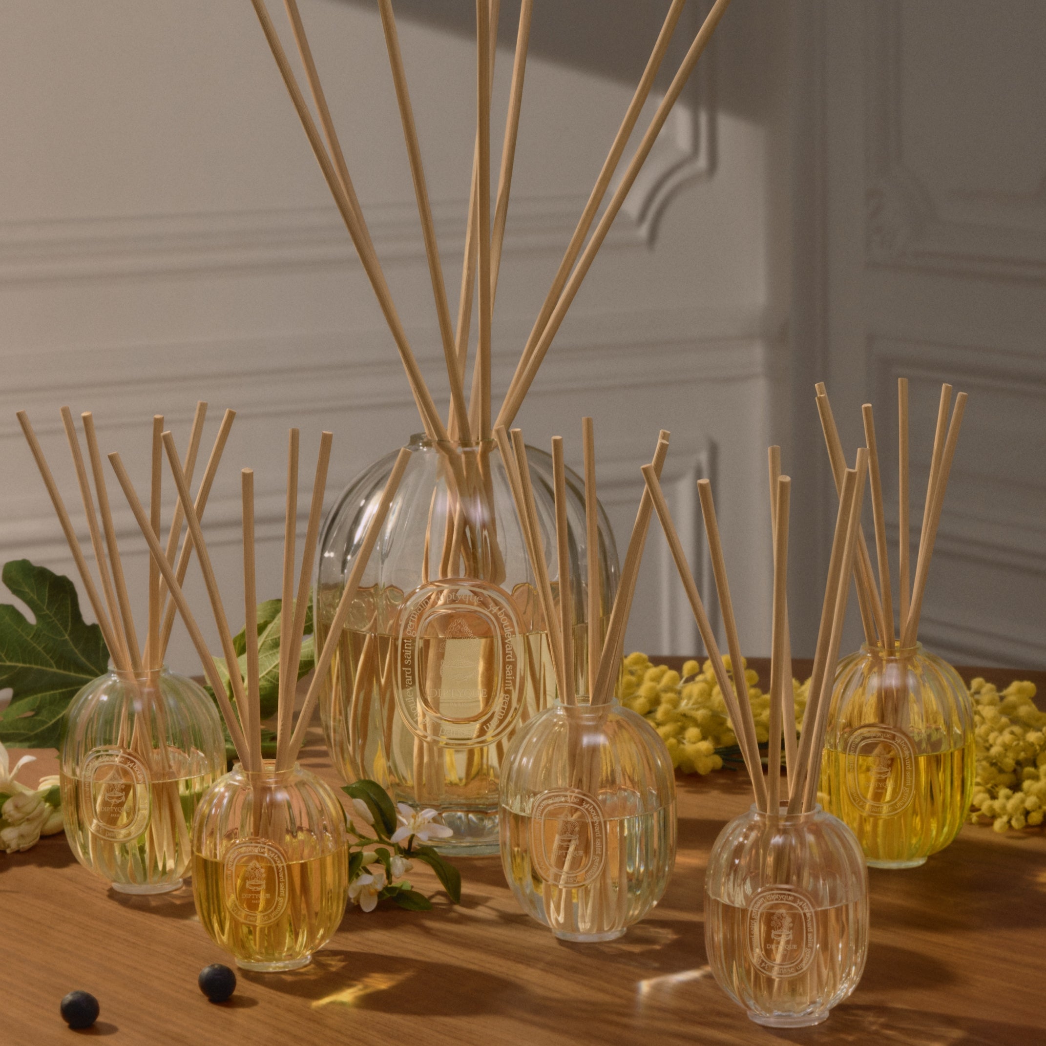 Instructions for use - Home fragrance diffuser (2L) – Diptyque Paris