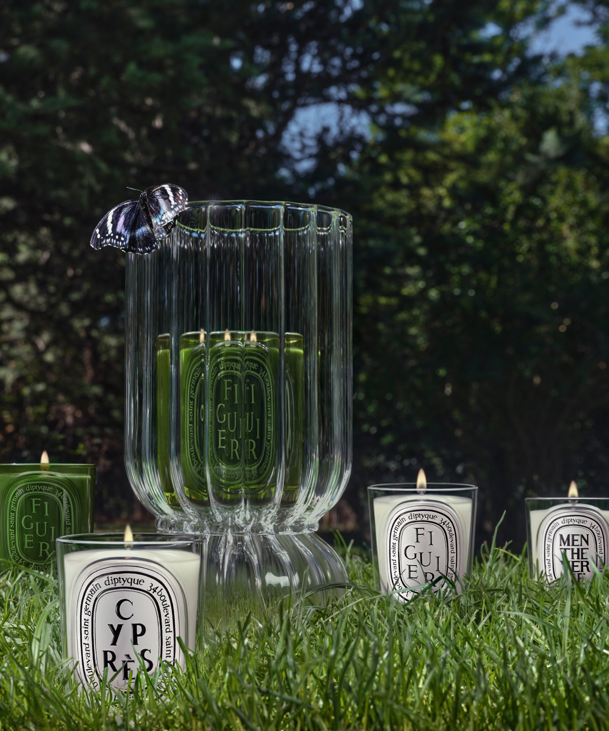 ディプティックのサマーコレクション – Diptyque Paris