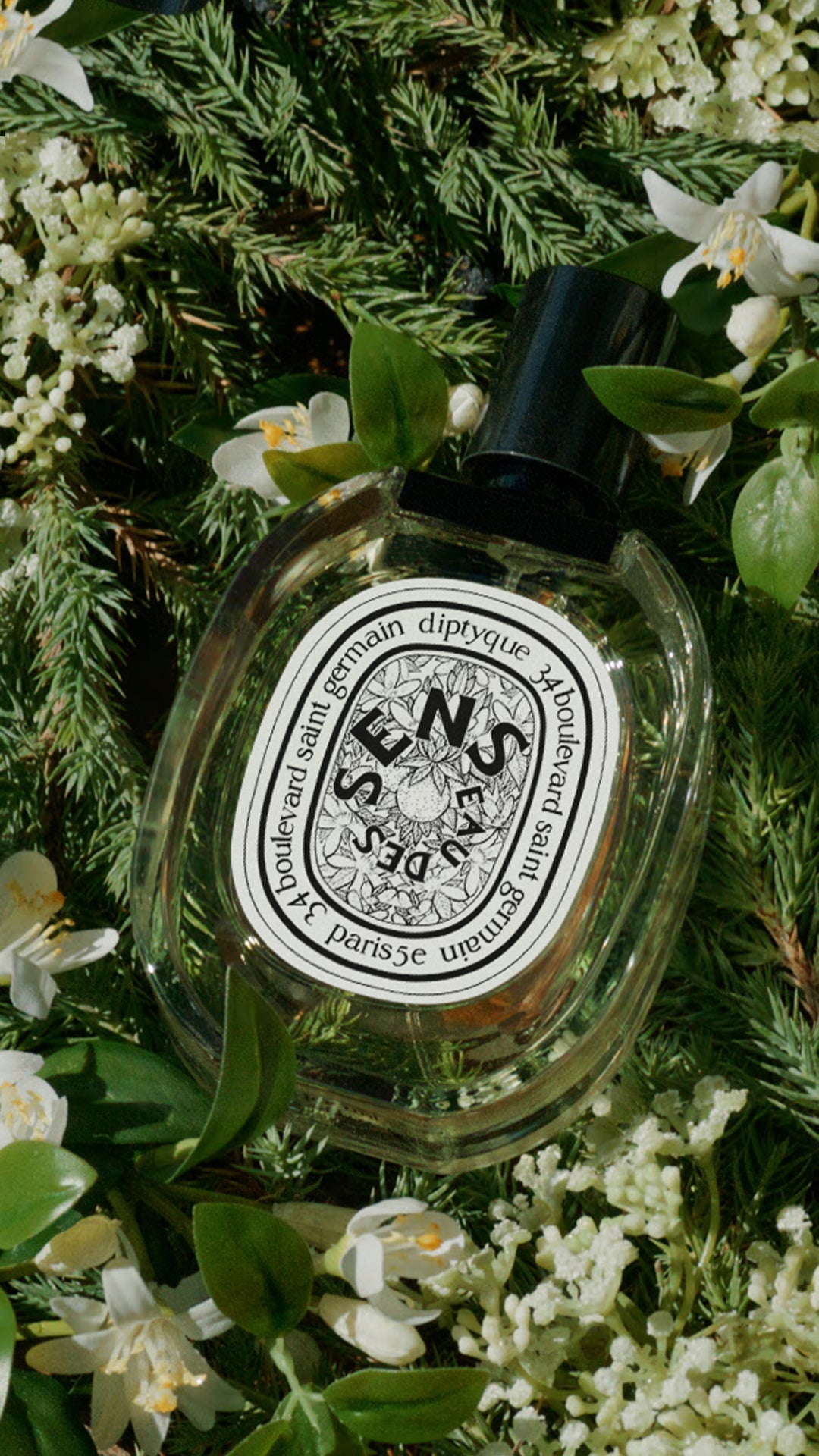 Eau des Sens (オーデサンス) - オードトワレ – Diptyque Paris