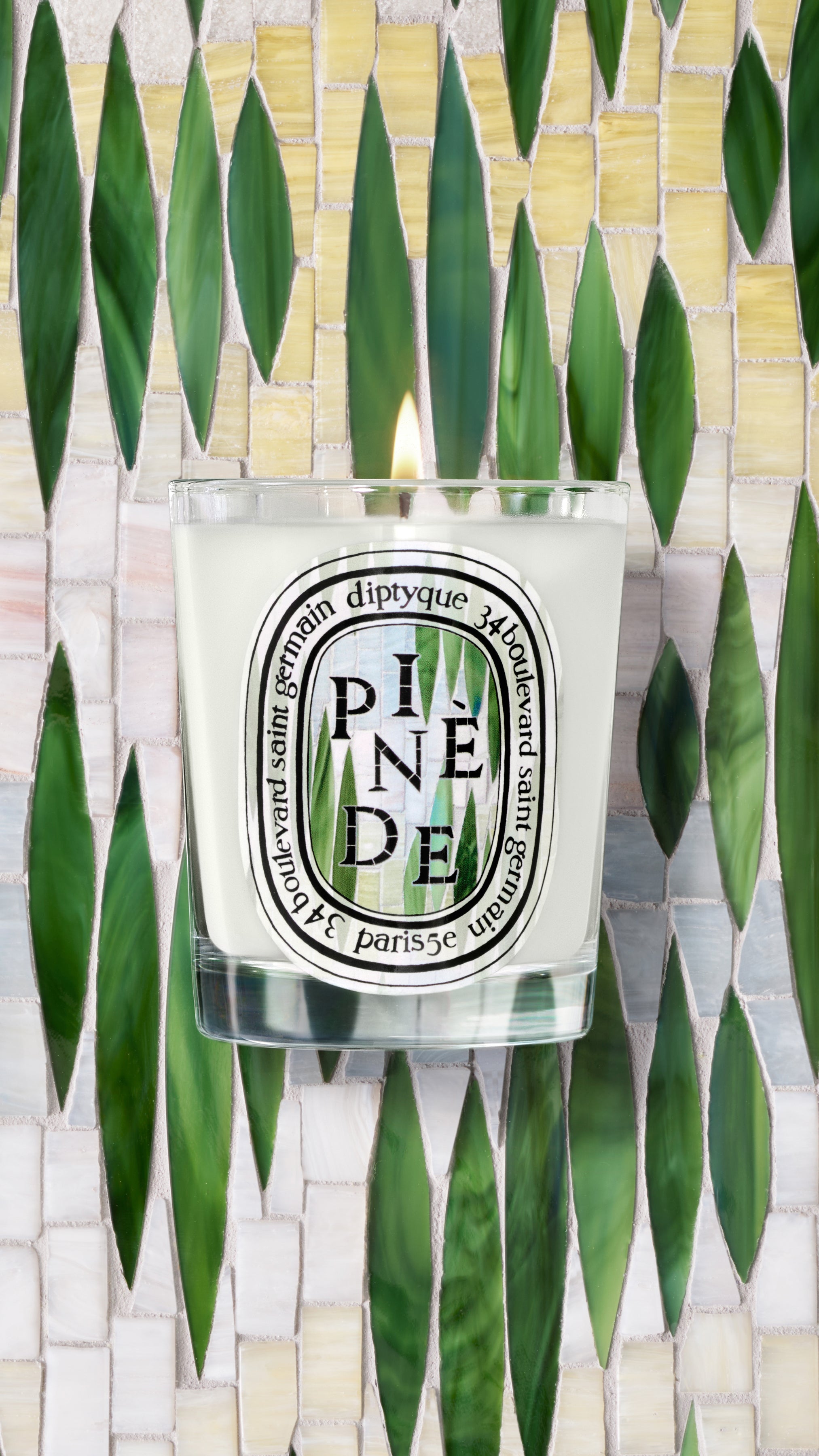 限定版 Pinède (ピネード) - クラシックキャンドル – Diptyque Paris