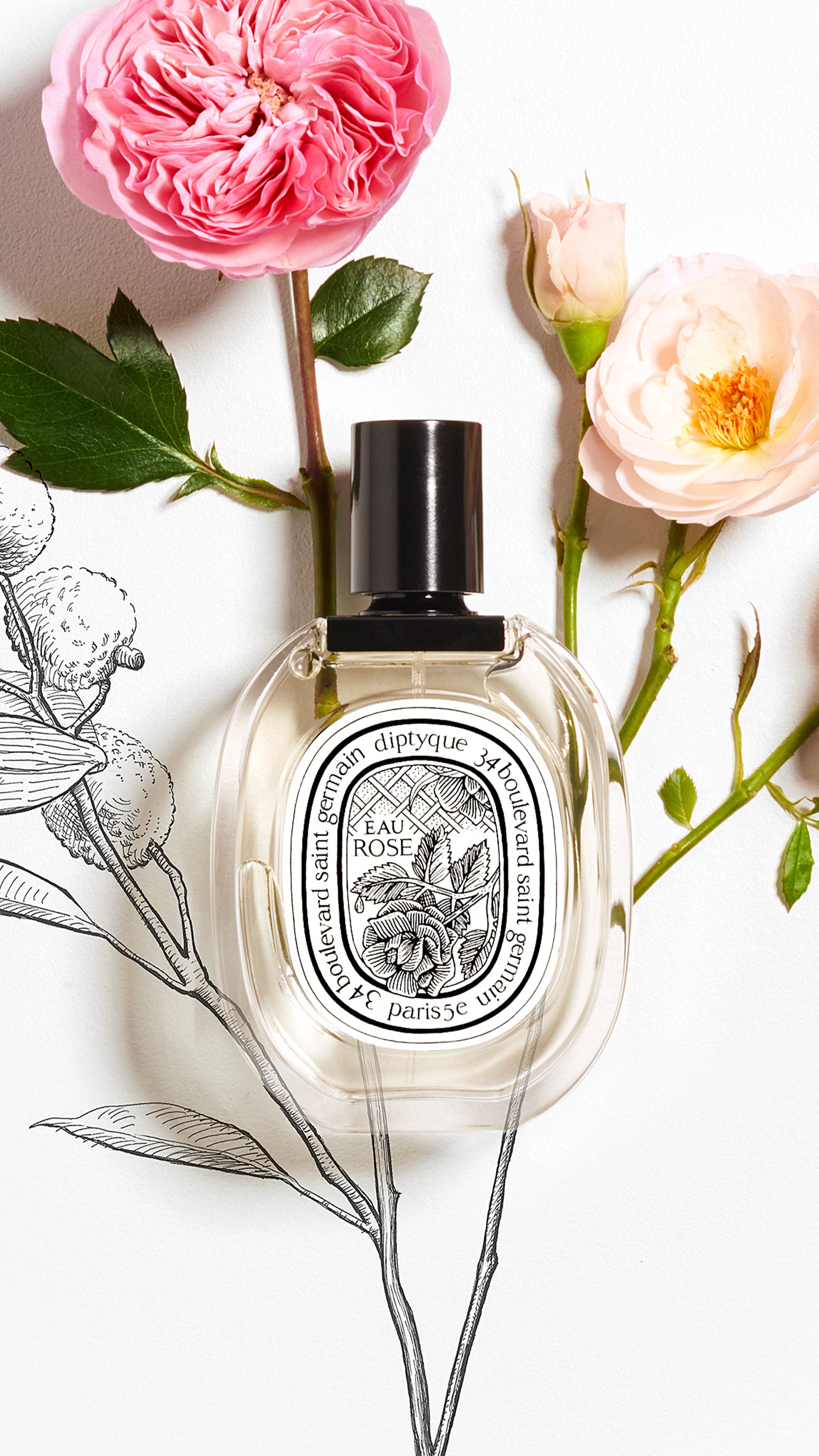 箱付diptyque EAUROSE ディプティック　オーローズ　香水 50ml Eau Rose (オーローズ) - オードトワレ – Diptyque Paris