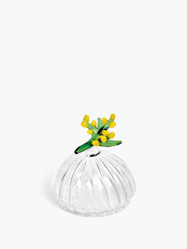 Mimosa (ミモザ) キャンドルリッド ハーバリウム - クラシックキャンドル用