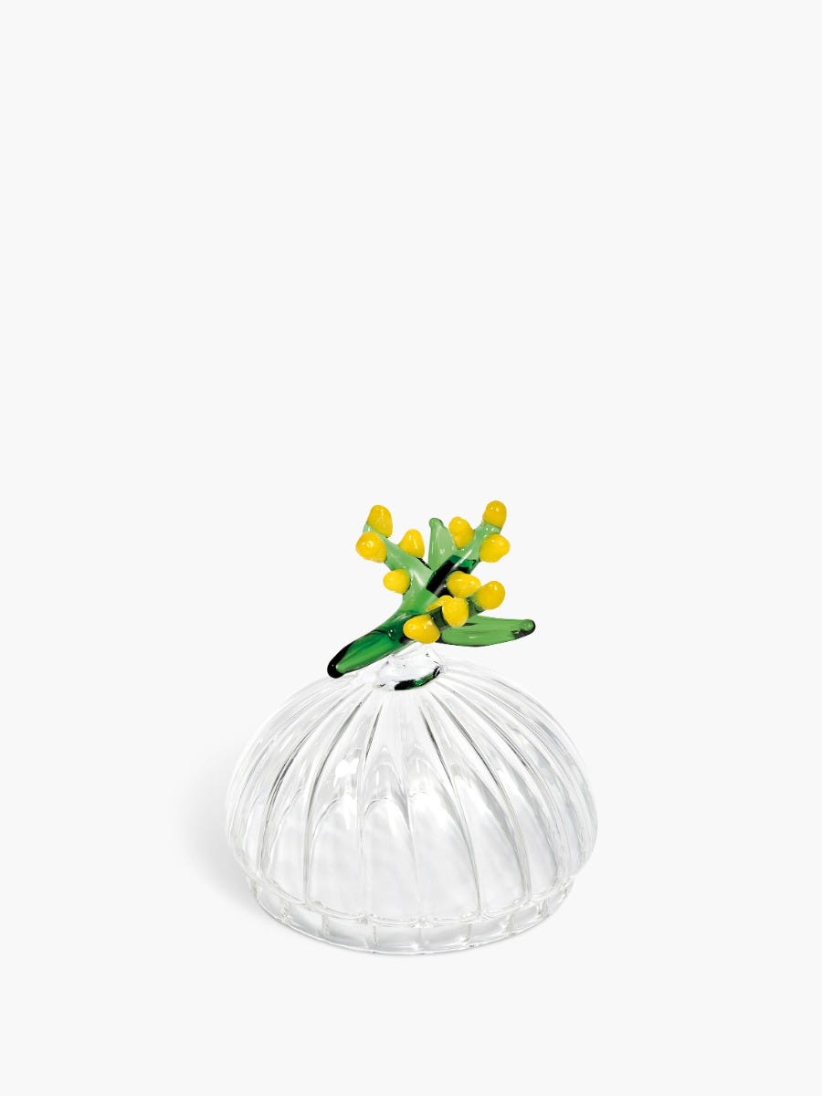 Mimosa (ミモザ) キャンドルリッド ハーバリウム - クラシックキャンドル用