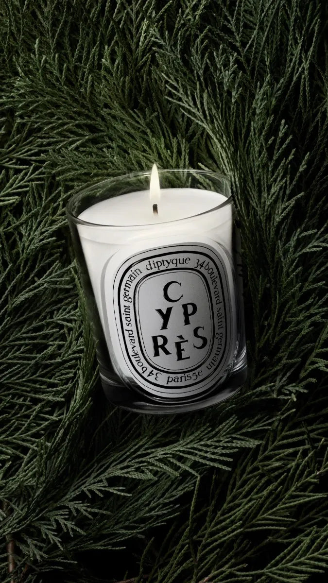 Cyprès (シプレ) - クラシック キャンドル – Diptyque Paris Cyprès (シプレ) - クラシック キャンドル – Diptyque Paris