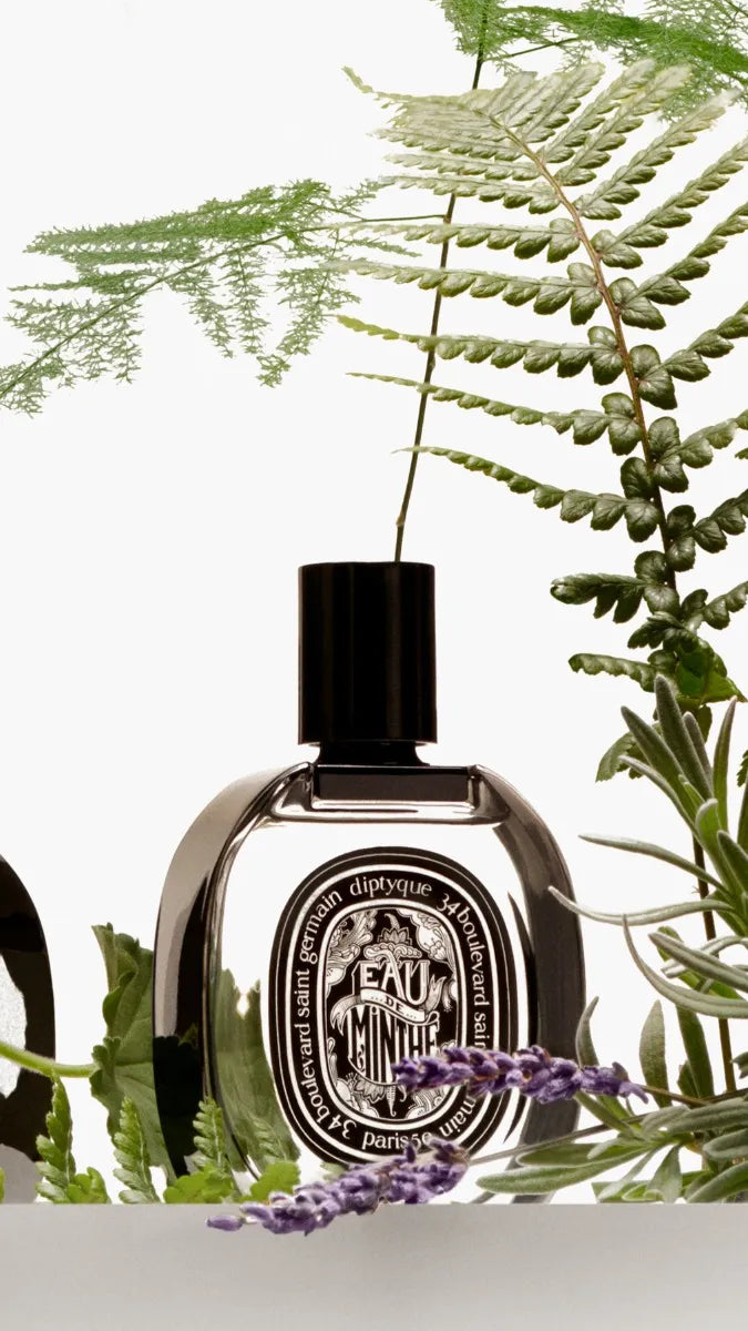 Eau de Minthé(オードミンテ) - オードパルファン – Diptyque Paris Eau de Minthé(オードミンテ) - オードパルファン – Diptyque Paris