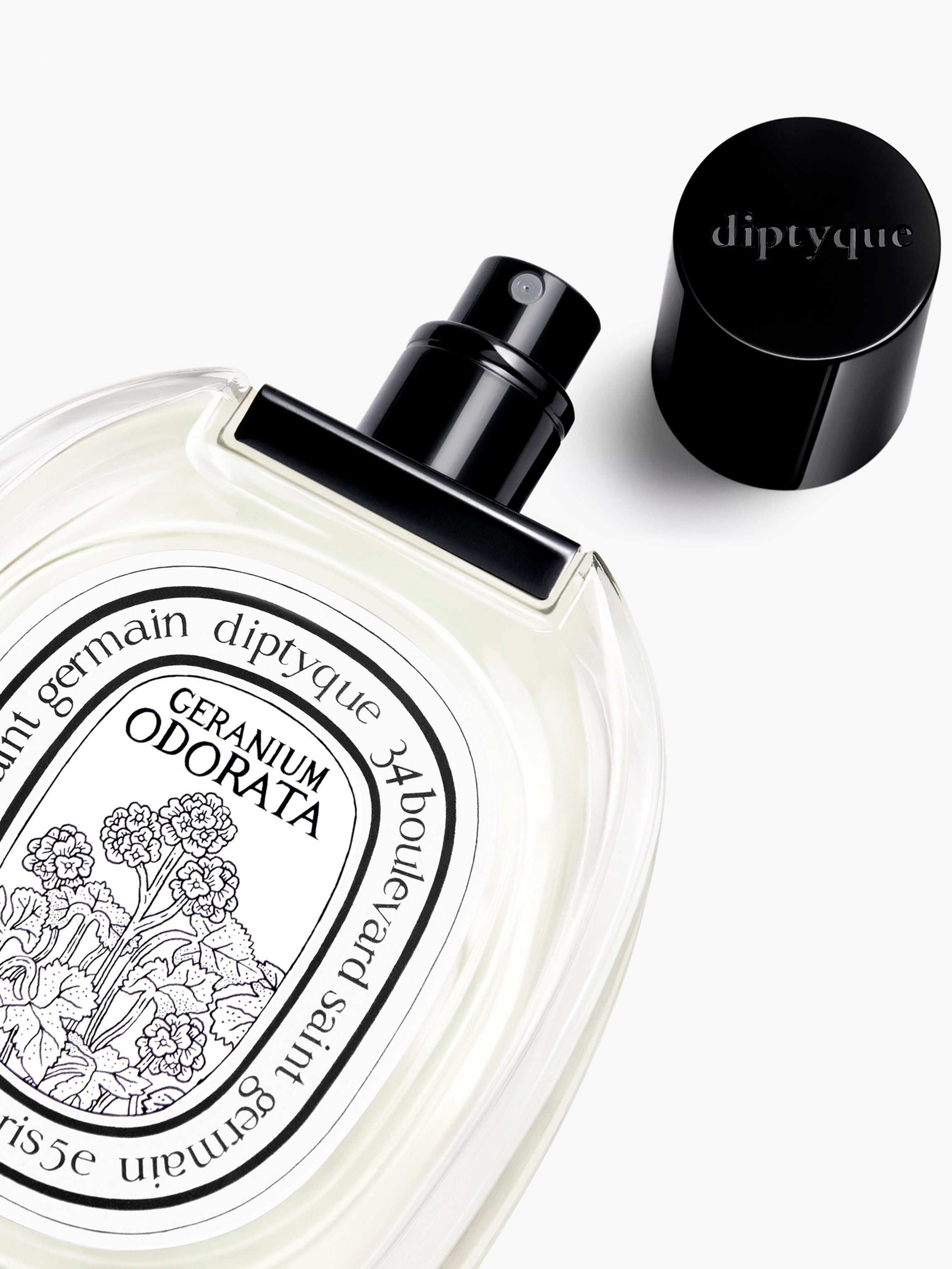 Geranium Odorata（ゼラニウム オドラタ） - オードトワレ – Diptyque