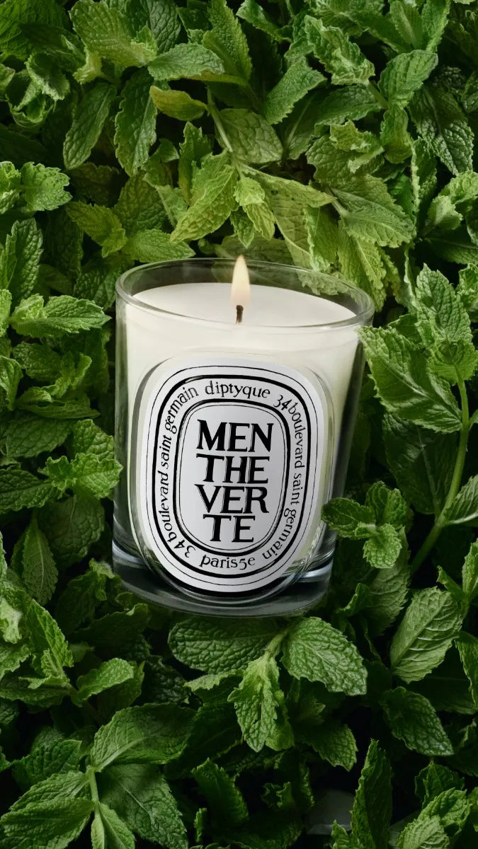 Menthe Verte (マント ヴェルト) - クラシック キャンドル – Diptyque Menthe Verte (マント ヴェルト) - クラシック キャンドル – Diptyque