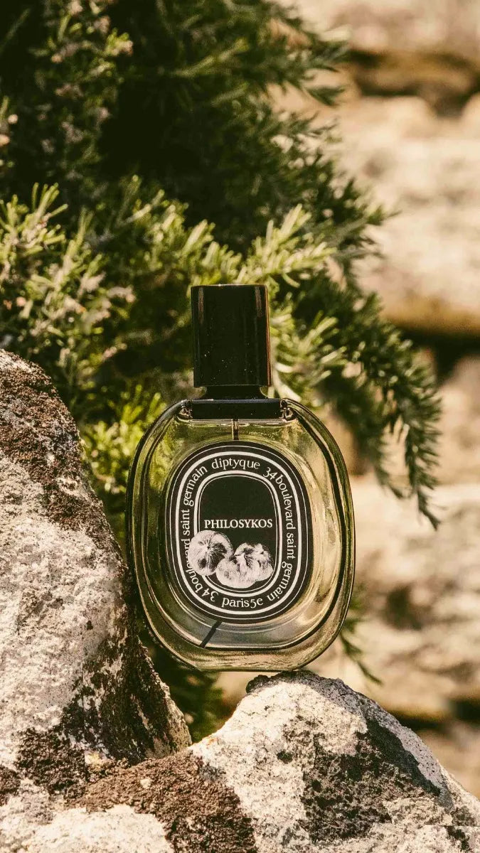 Philosykos（フィロシコス） - オードパルファン – Diptyque Paris