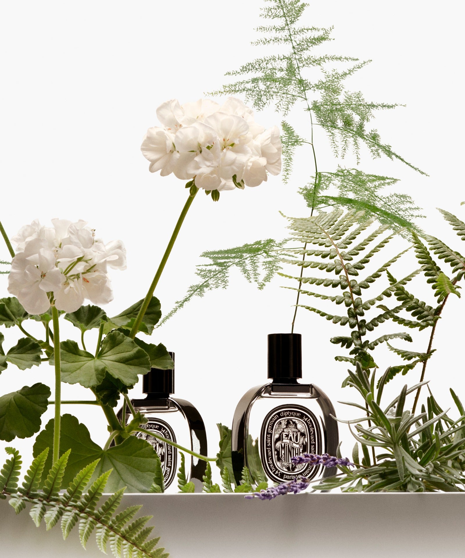 ディプティックのフレグランス – Diptyque Paris