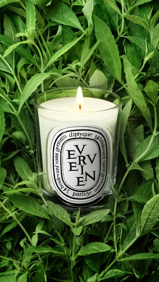 Verveine (ヴェルヴェーヌ) - クラシック キャンドル – Diptyque Paris Verveine (ヴェルヴェーヌ) - クラシック キャンドル – Diptyque Paris
