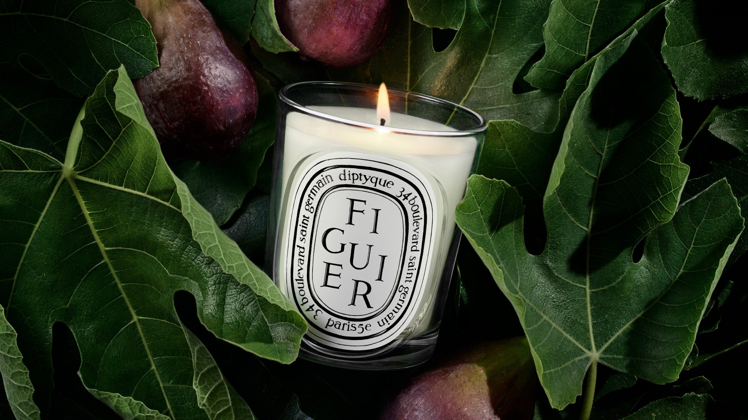 Diptyque 新品リフィル　カプセル　BAISE FIGUE ベ　フィギエ Figuier（フィギエ） – Diptyque Paris