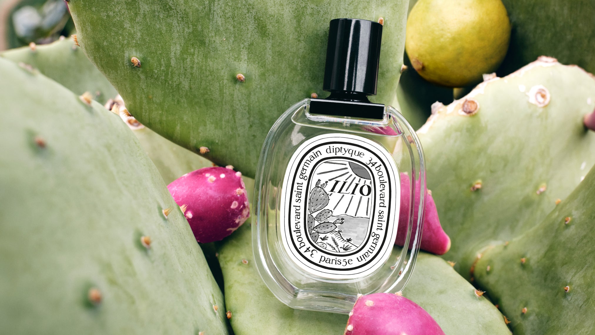 L'Eau Papier (ローパピエ) - オードトワレ – Diptyque Paris