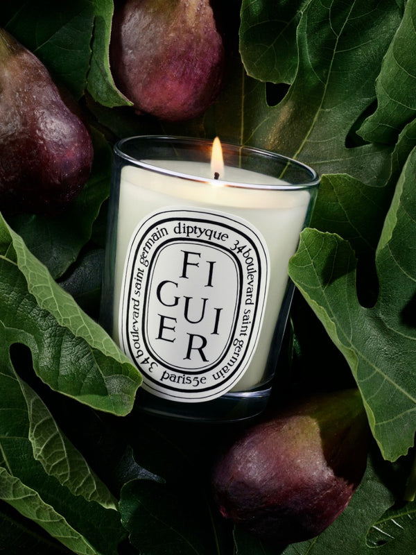 Figuier（フィギエ） - スモールキャンドル