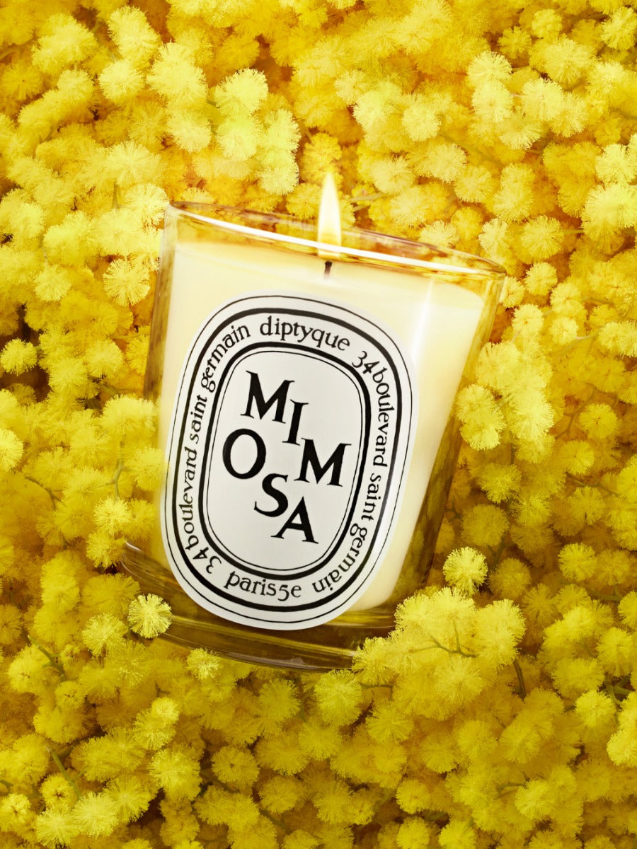 Mimosa（ミモザ） - スモールキャンドル – Diptyque Paris