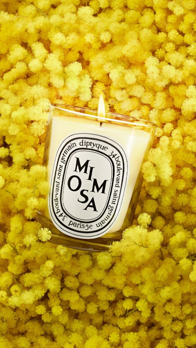 Mimosa（ミモザ） - スモールキャンドル – Diptyque Paris
