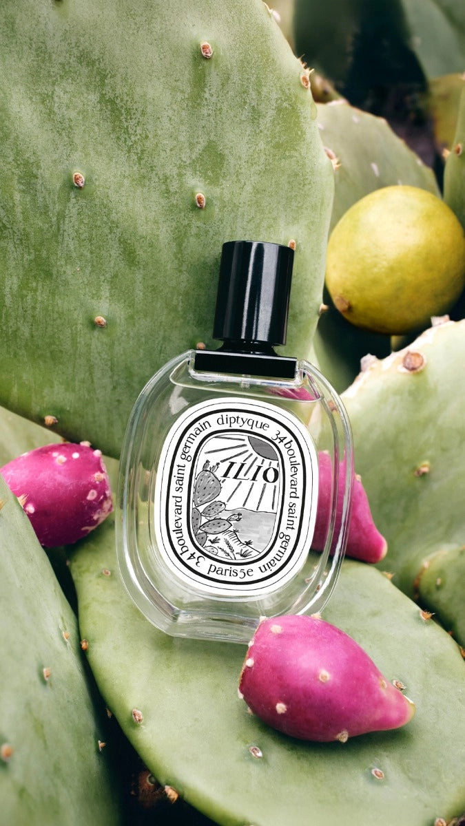 Ilio (イリオ) - オードトワレ – Diptyque Paris Ilio (イリオ) - オードトワレ – Diptyque Paris