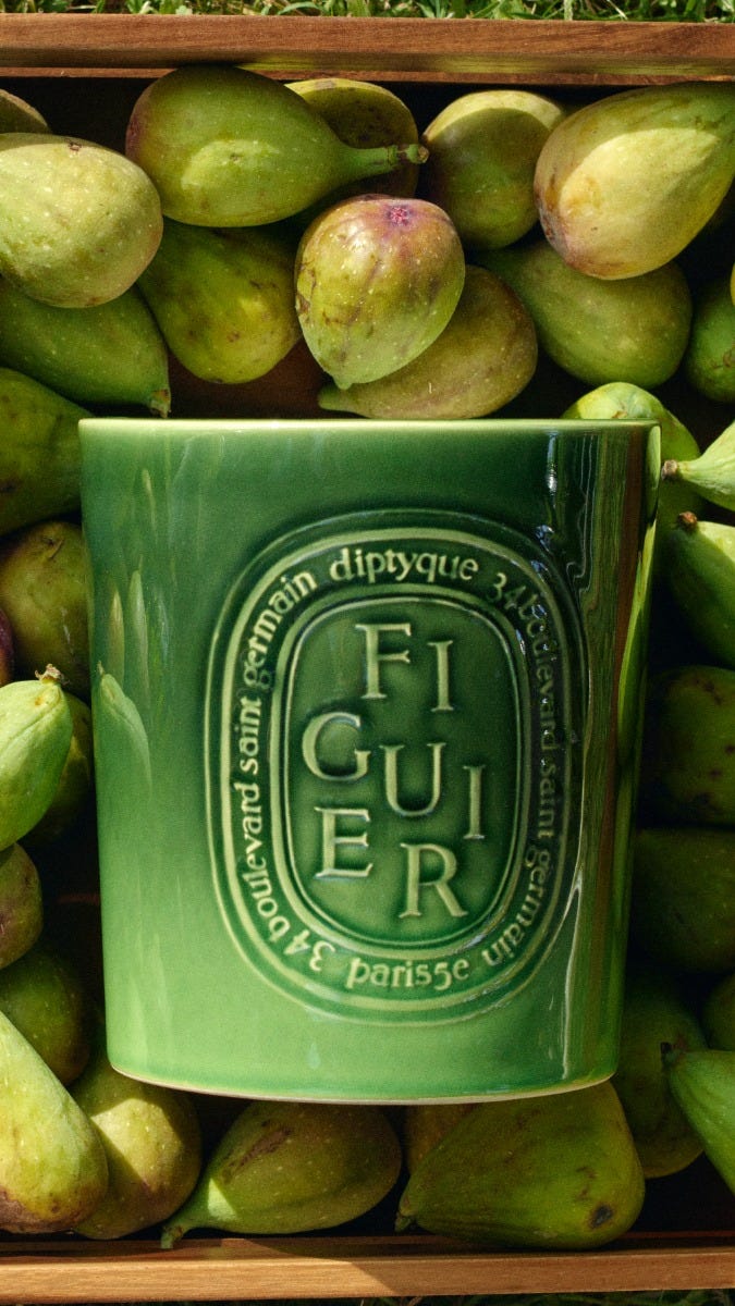 Figuier (フィギエ) - エクストララージ キャンドル – Diptyque Paris